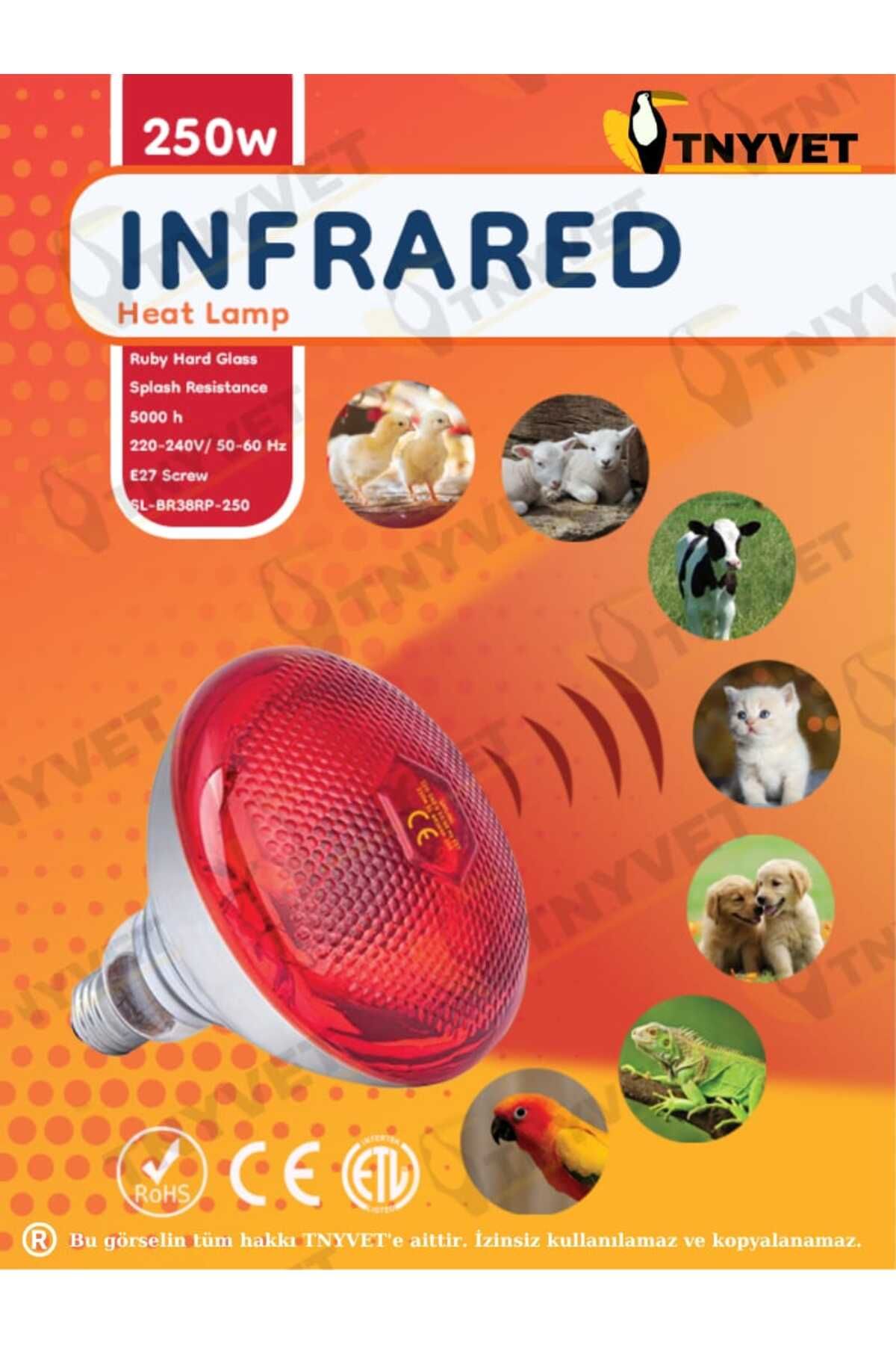 Isıtıcı Lamba 250 Watt