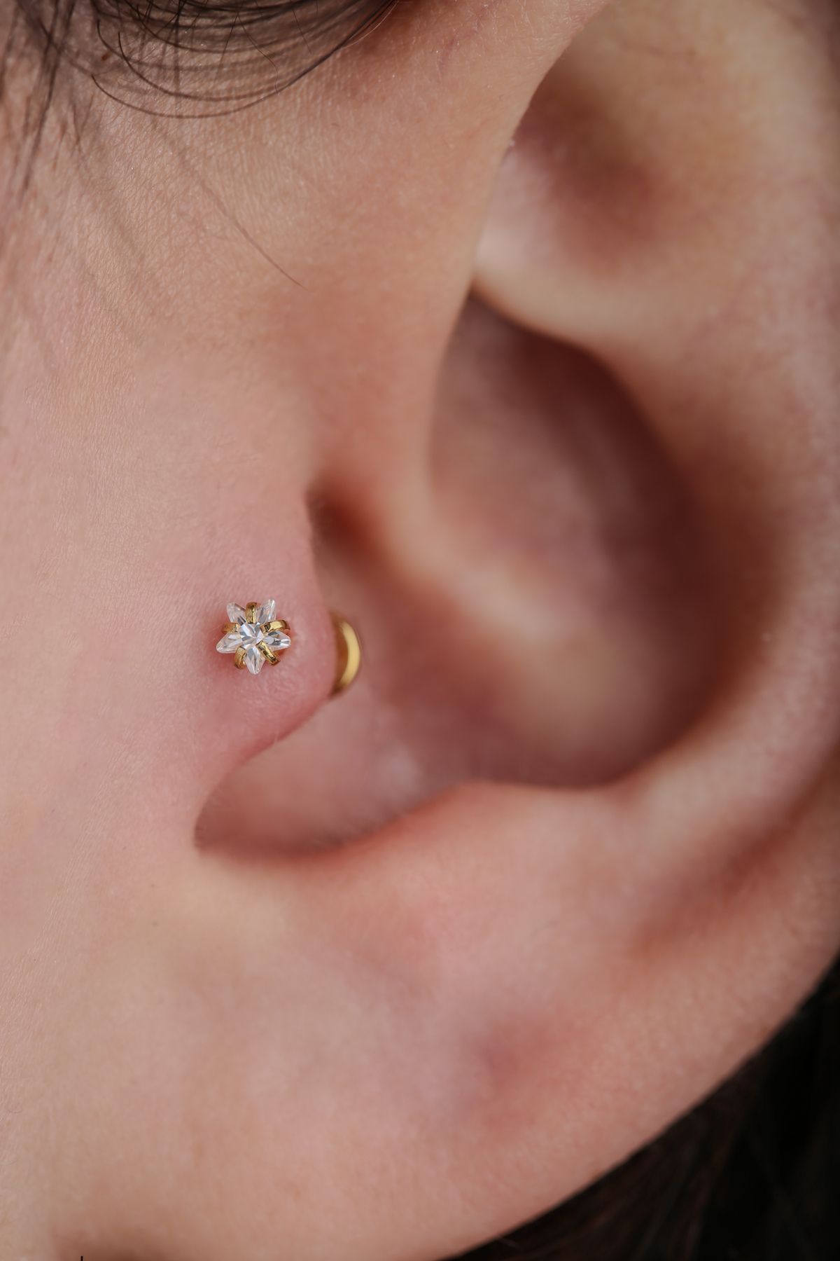 Cerrahi Çelik Yıldız Taşlı Piercing Tragus (6mm) Gold Renk