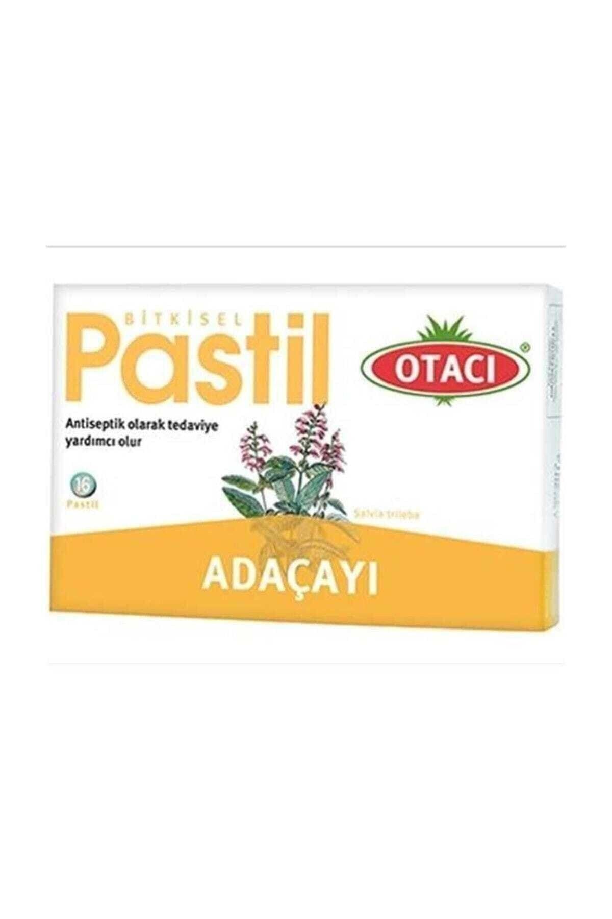 Adaçayı Salvia Pastıl 16 Adet