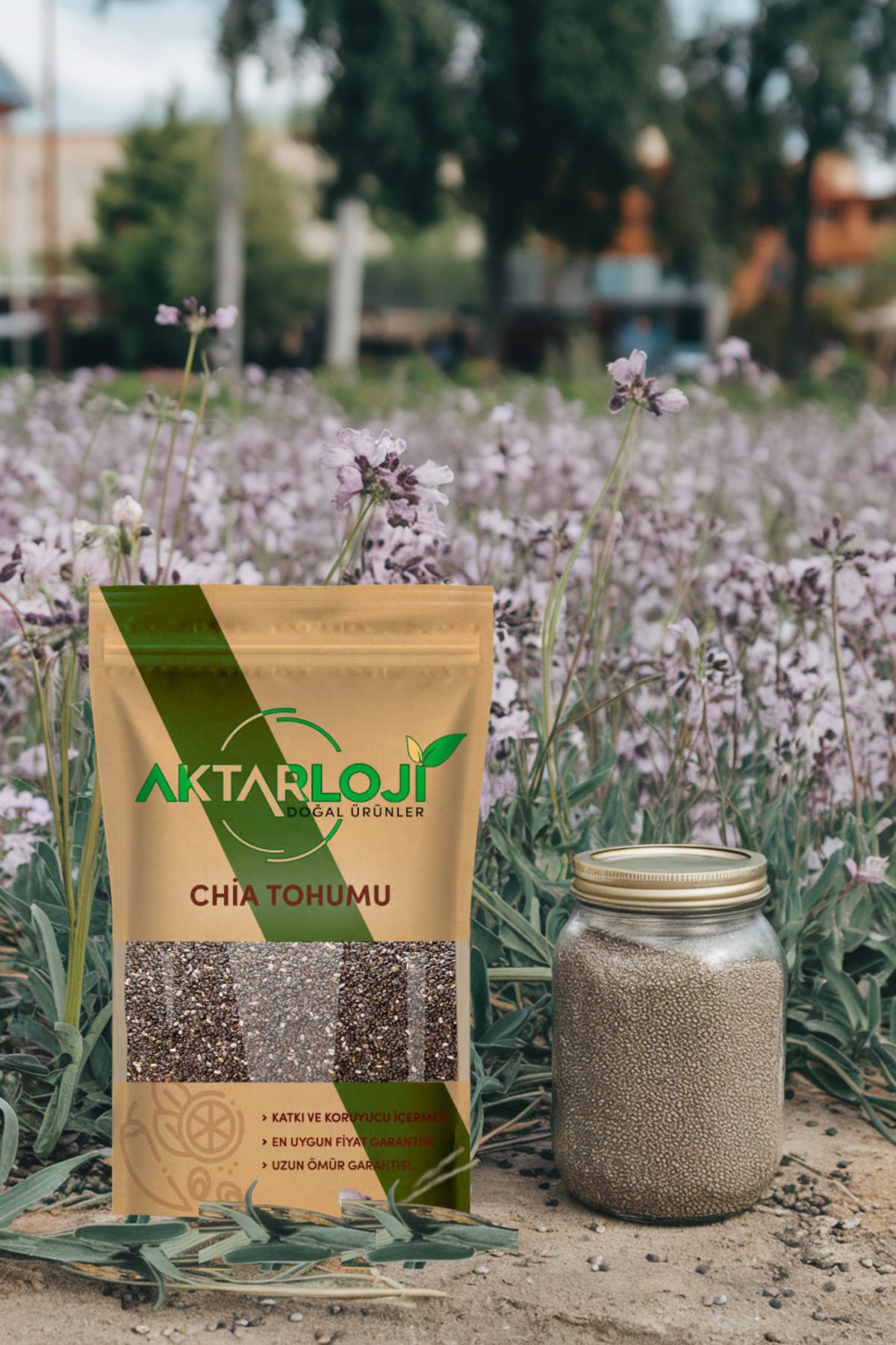 100 gr Chia Tohumu