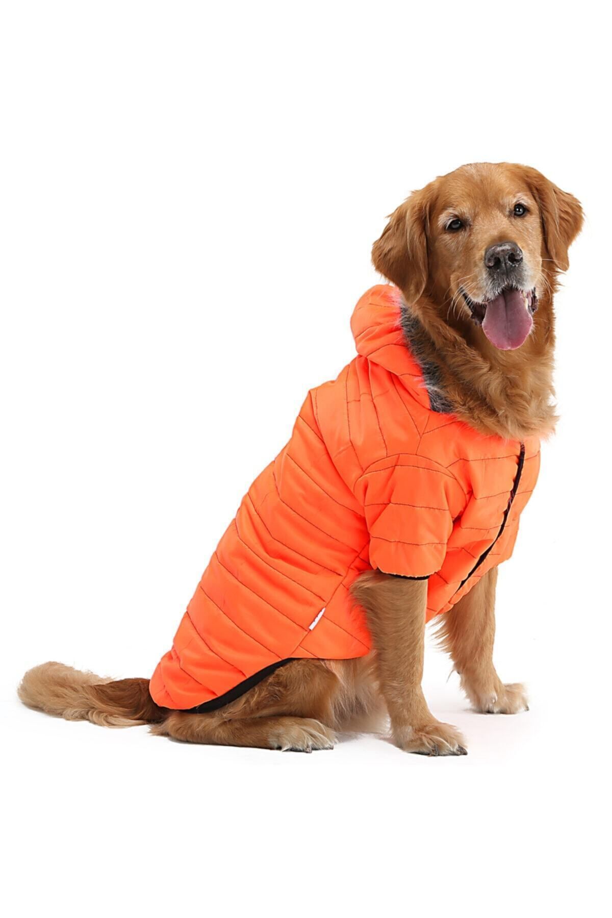 Dogi Dog Büyük Irk Neon Oranj Puf Mont ,büyük Irk Köpek Kiyafeti,köpek Elbisesi