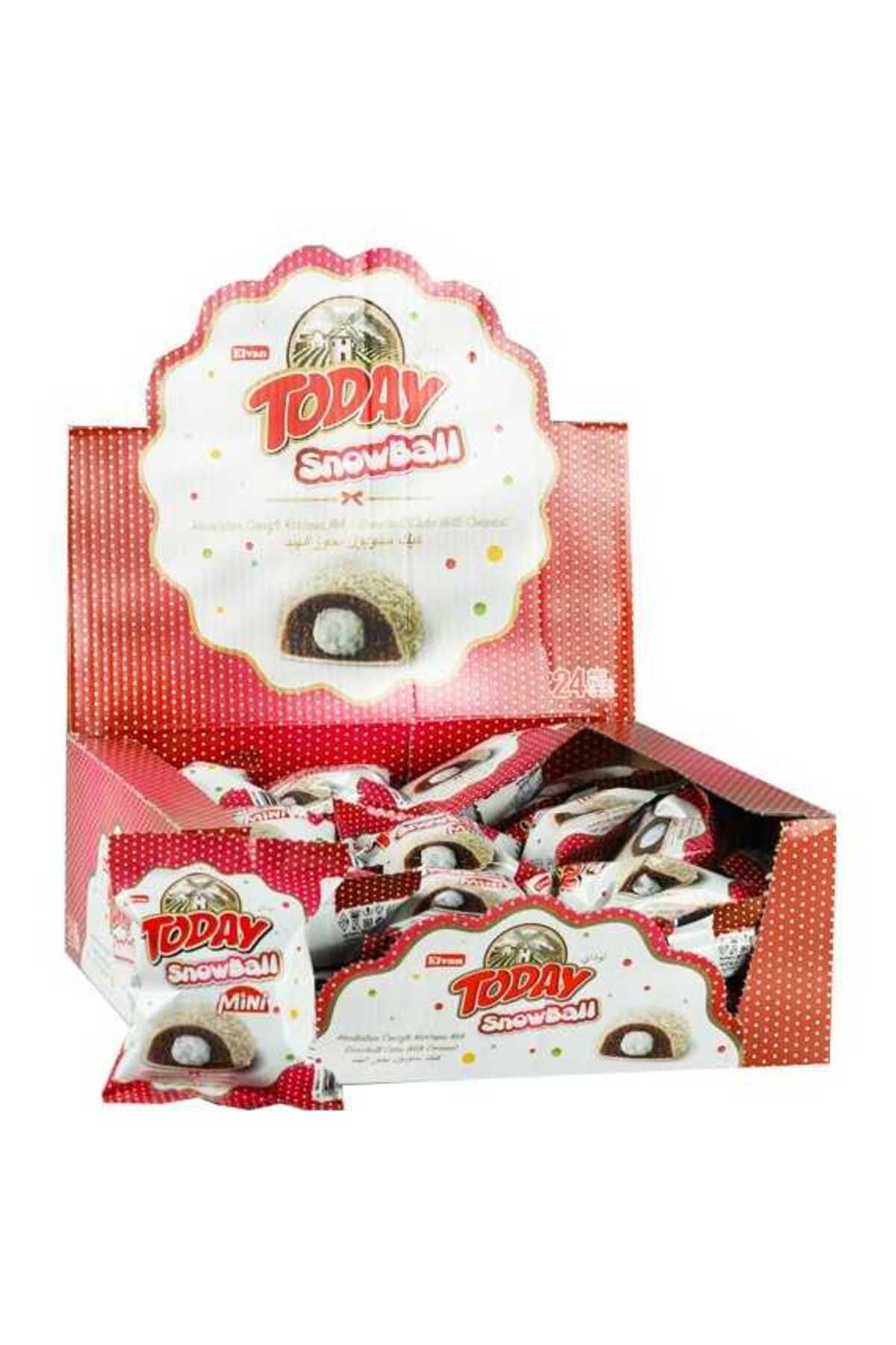Today Snowball Mini Hindistan Cevizli Kek 25 Gr. 24 Adet (1 Kutu)