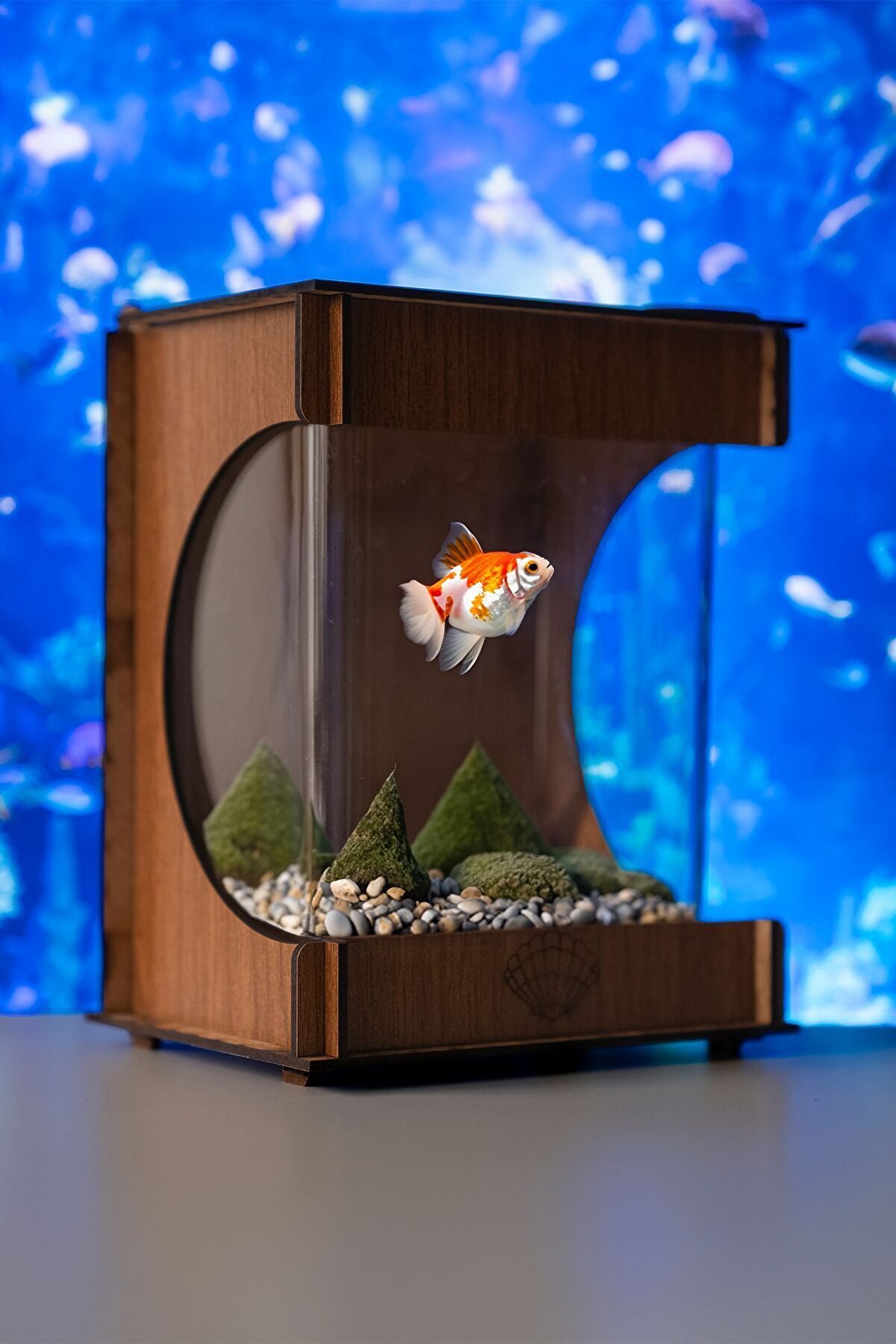Beta Ahşap Mini Akvaryum Hediyelik Balık Akvaryumu