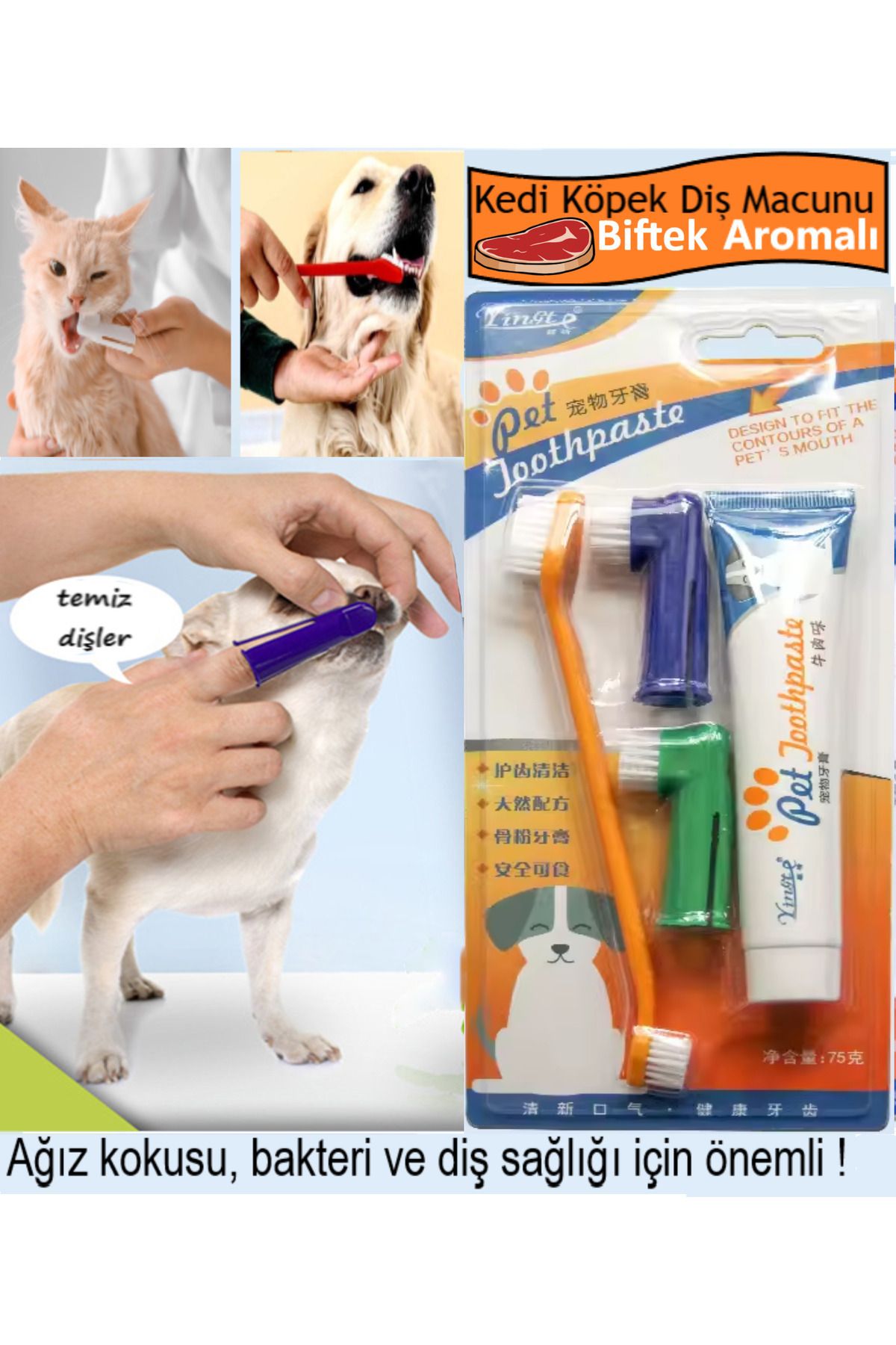 Kedi Köpek Diş Fırçası ve Diş Macunu Seti Yenilebilir Diş Macunu Dental Kit Ağız ve Diş Sağlık Seti