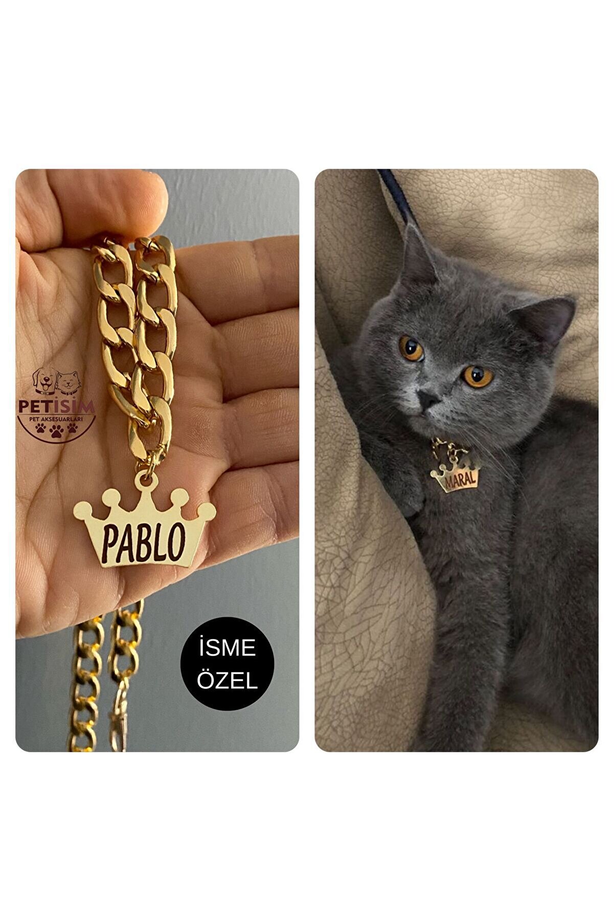 Kedi Tasması Isimli Kedi Tasması Zincirli Tasma Paslanmaz Metal