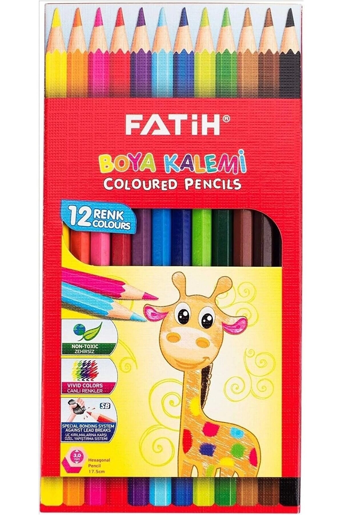 12'li Tam Boya Kuru Boya Karton Kutu / 33112