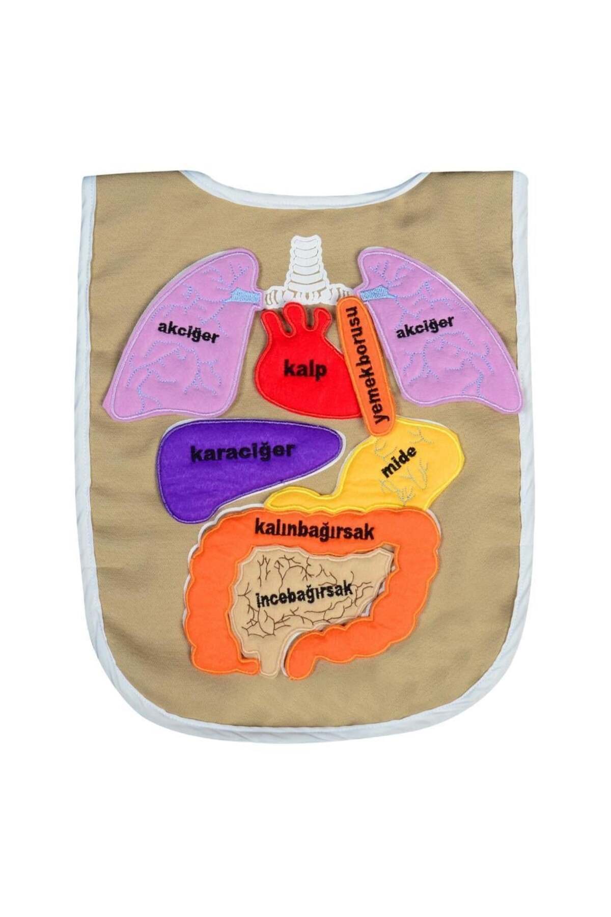 Eğitici Ve Öğretici Renkli Organ Önlüğü 45x37x2 Cm 5011