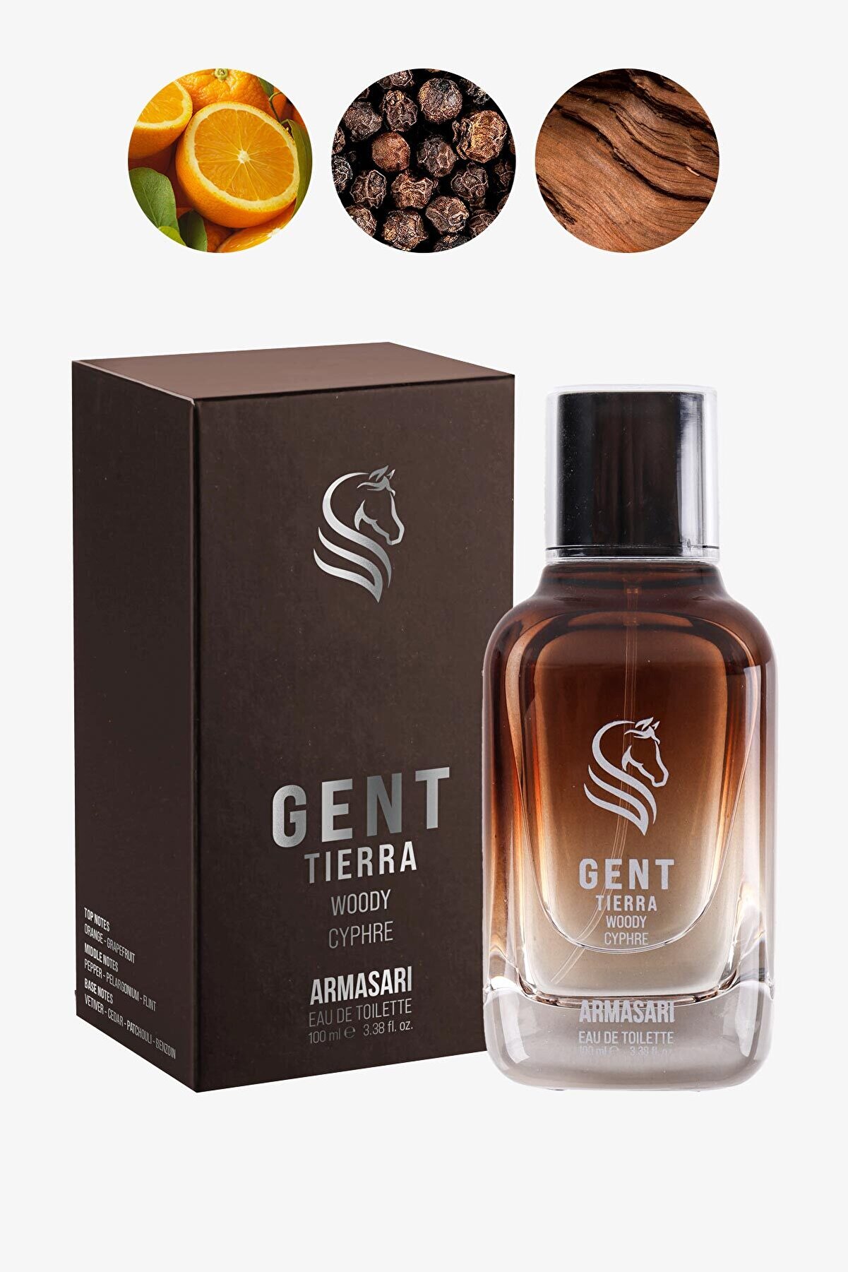 Gent Tierra Odunsu Uzun Süre Kalıcı 100 ml EDP Erkek Parfüm