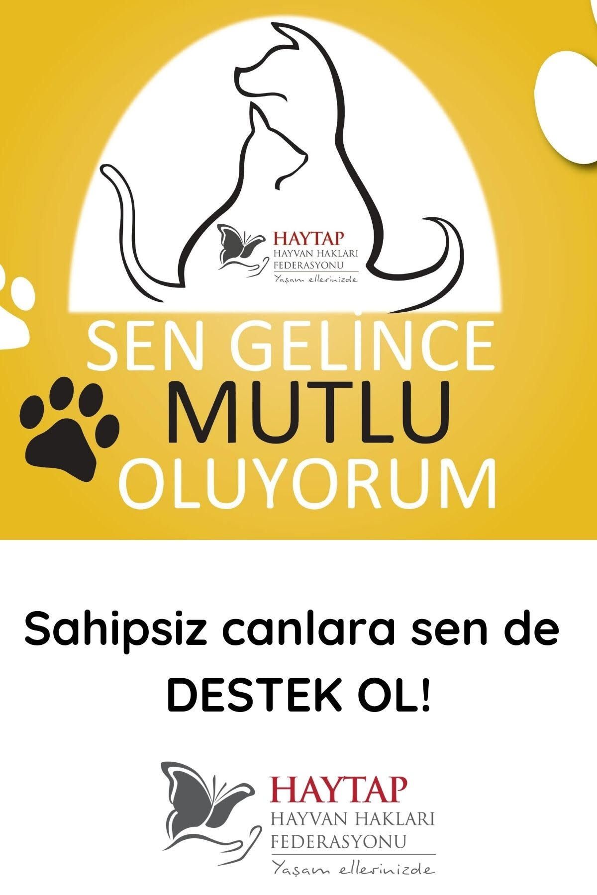 Sen Gelince Mutlu Oluyorum Destek Kartı