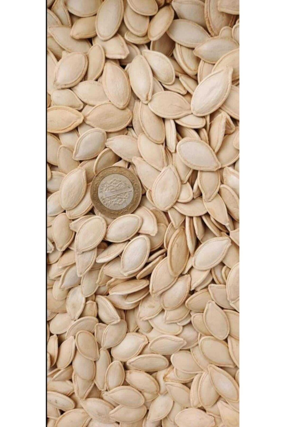Özkutaş Ticaret Nevşehir Derinkuyu Çiğ Kabak Çekirdeği Çig 1kg (ÇERÇEVELİ)