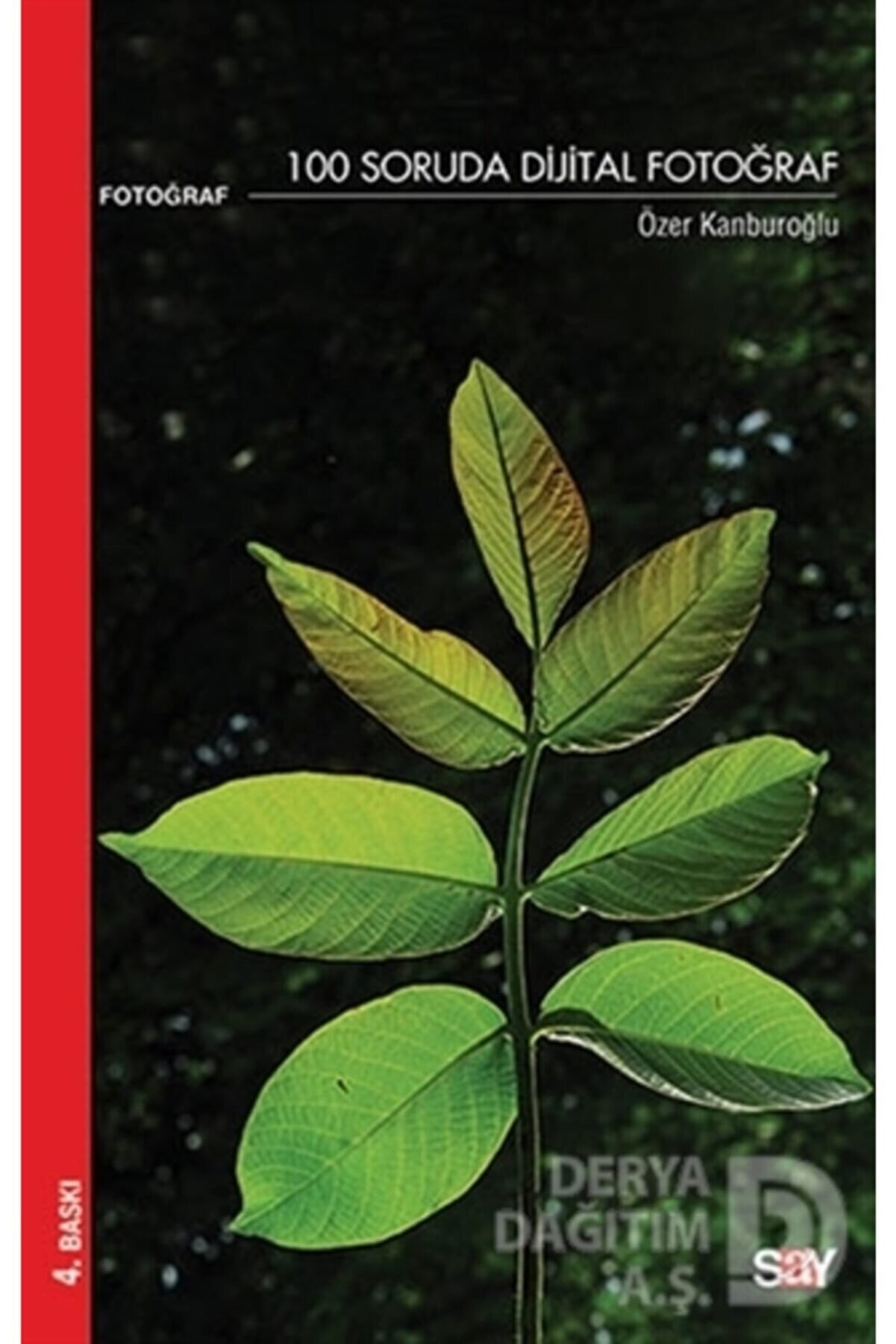 / 100 Soruda Dijital Fotoğraf