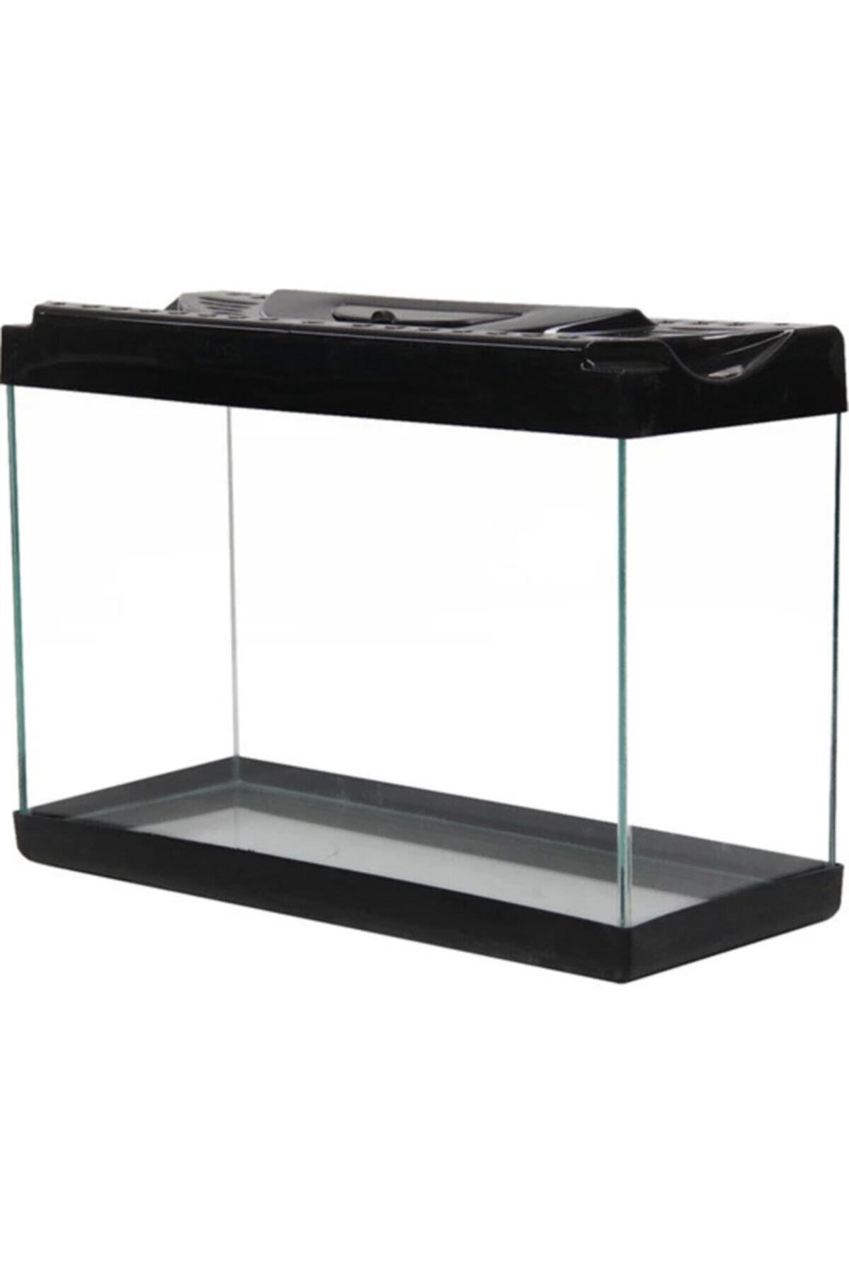 35 cm Renkli Kapak Akvaryum ve Balık Yemi