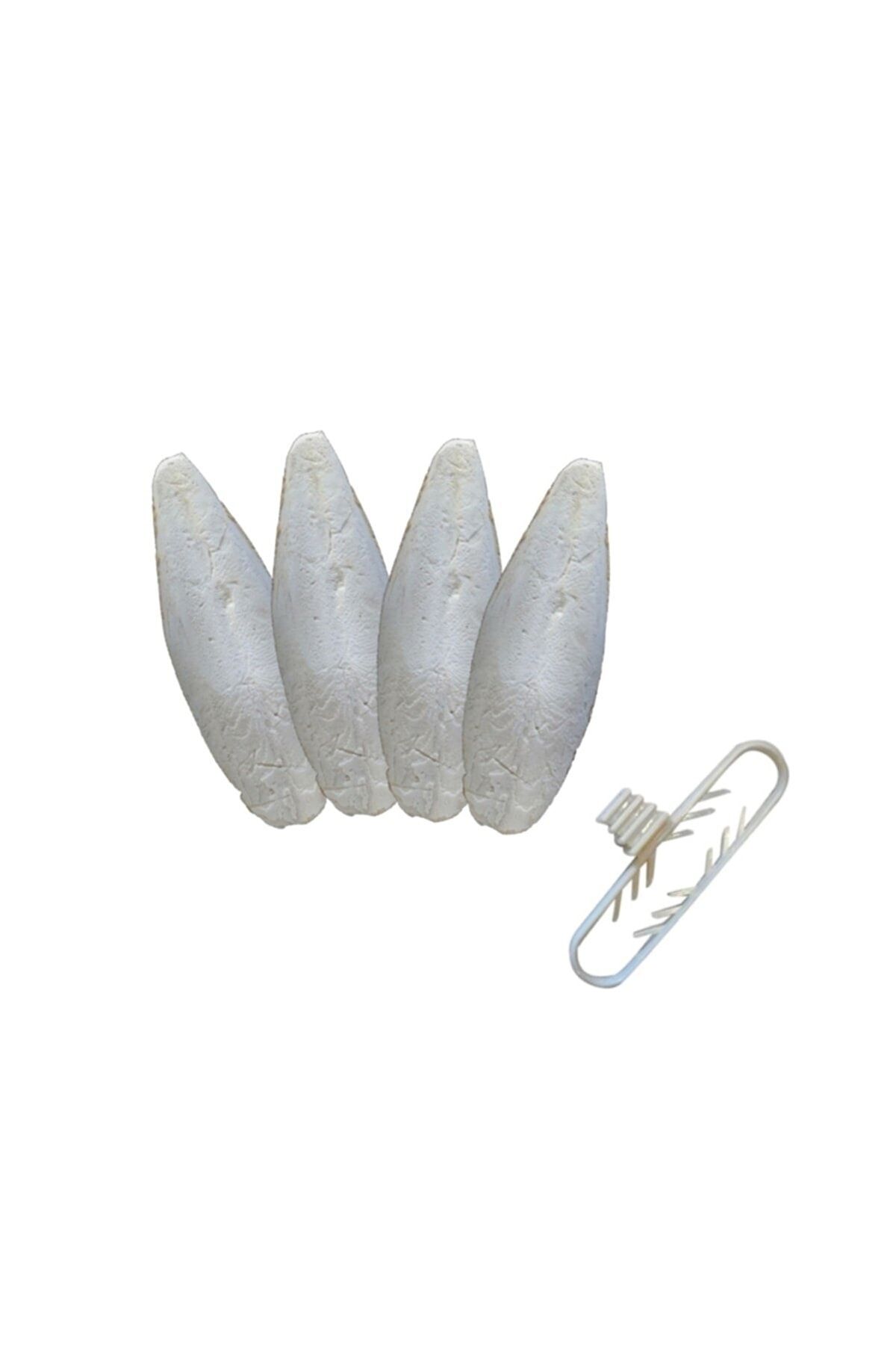 4 Adet Temizlenmiş Mini Mürekkep Balığı (KALAMAR) Kemiği 6cm Ve Tutacak