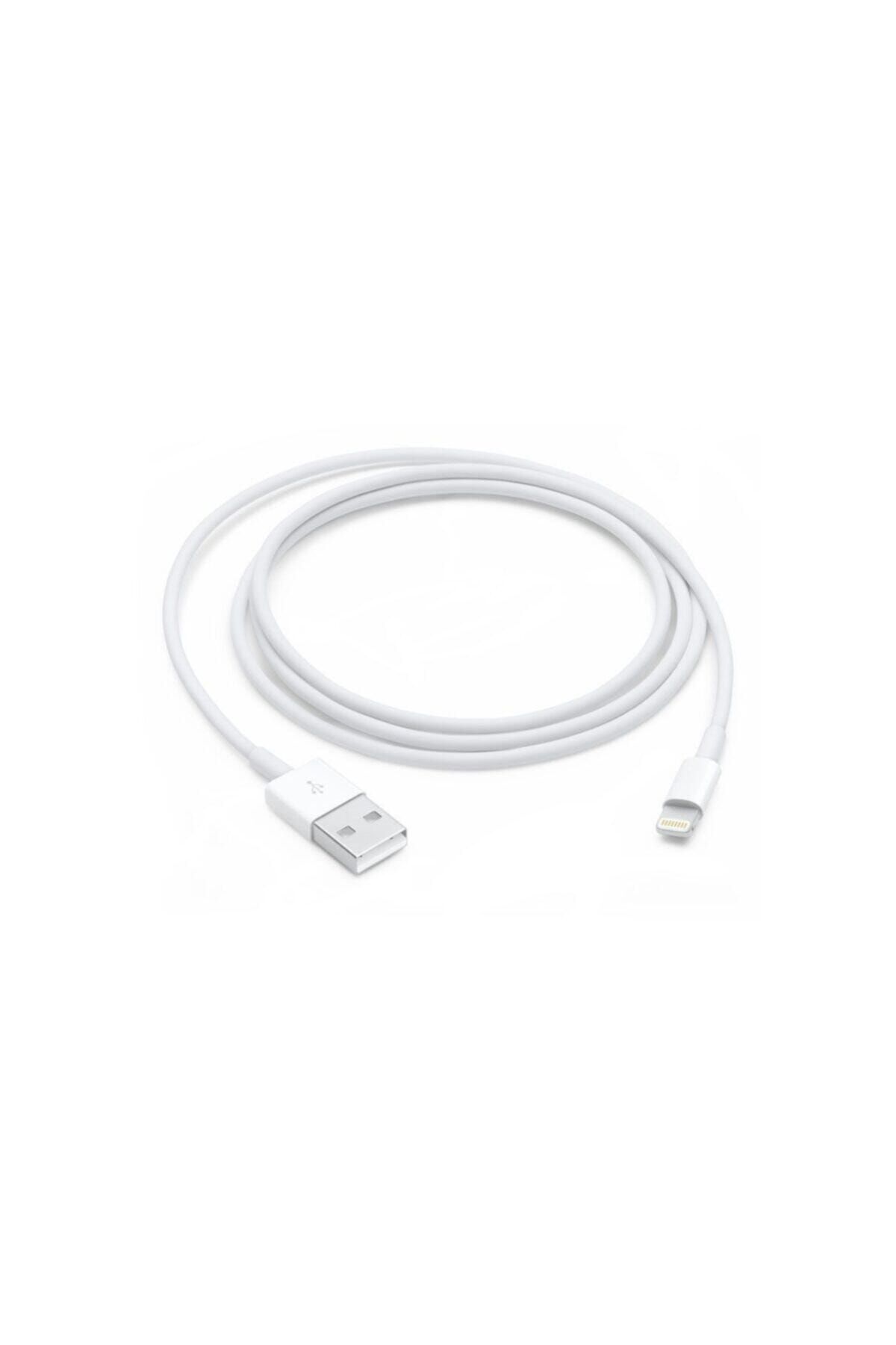 Lightning 1m USB Kablo (Apple Türkiye Garantili) MXLY2ZM/A