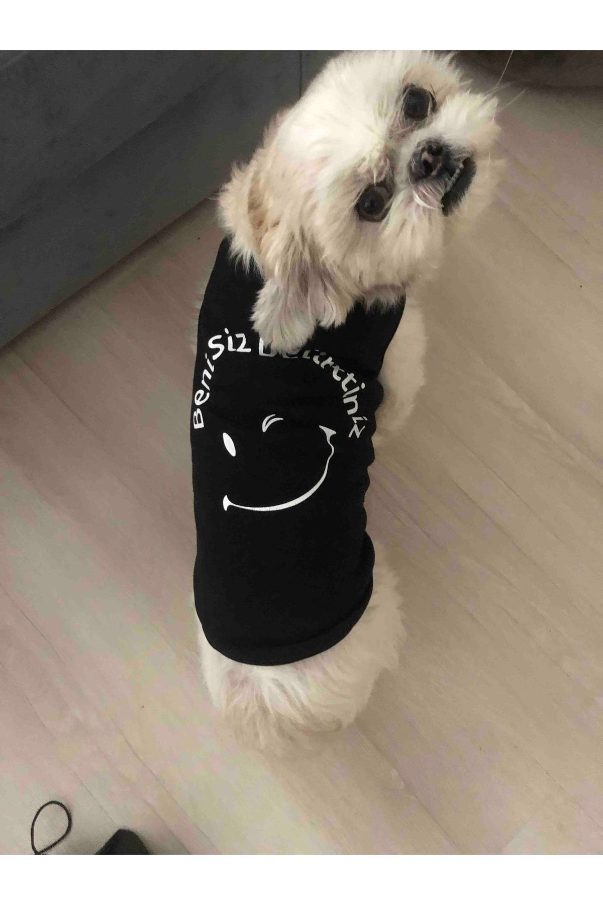 Yeni Sezon Köpek Ve Kedi Kıyafeti - Siyah Beni Siz Delirttiniz
