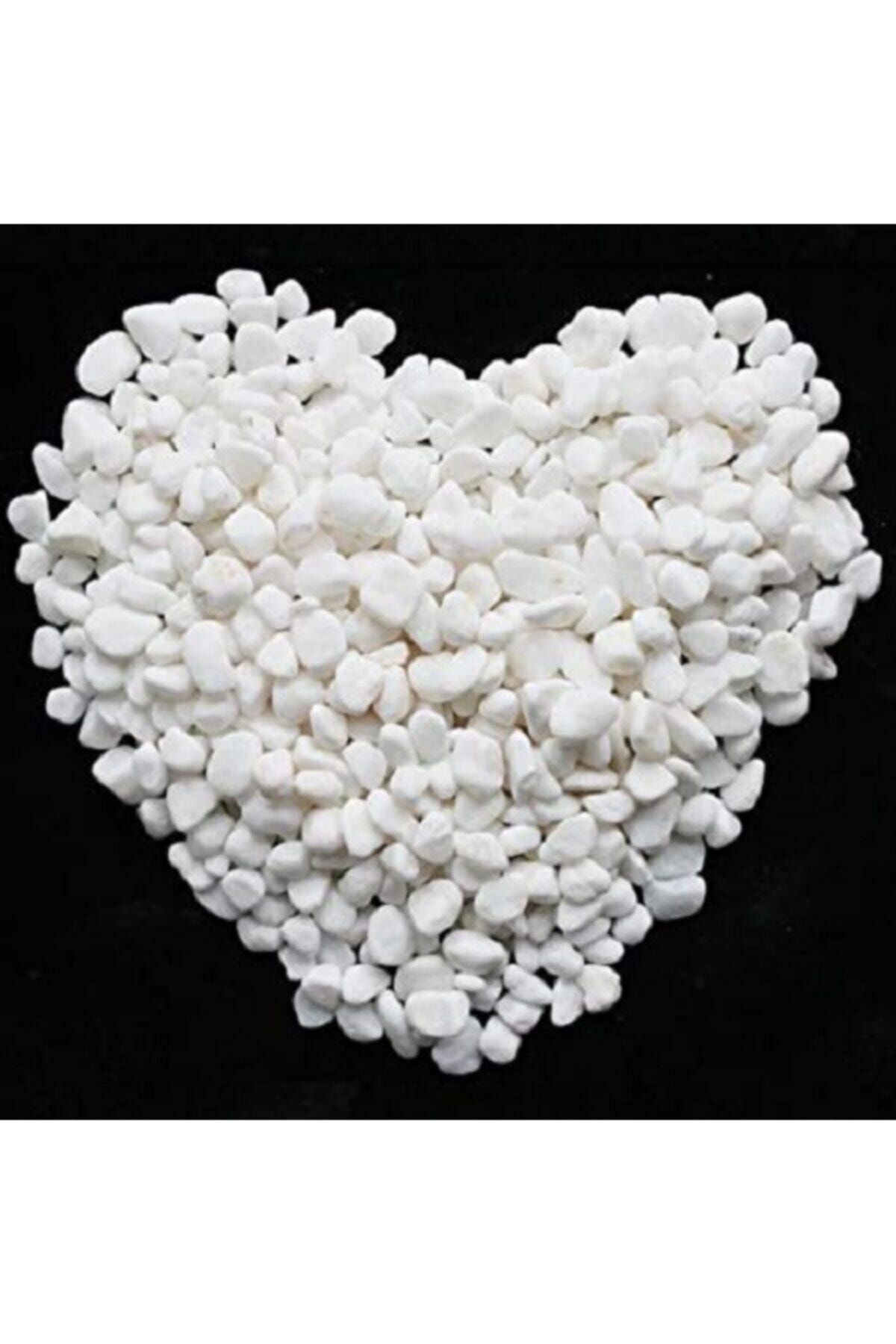 Beyaz Dolomit Taş 5 Kg 1-2 Cm Dere Çakıl Taşı Saksı Taşı Akvaryum Teraryum Taşı Bahçe Taşı 20no.3m