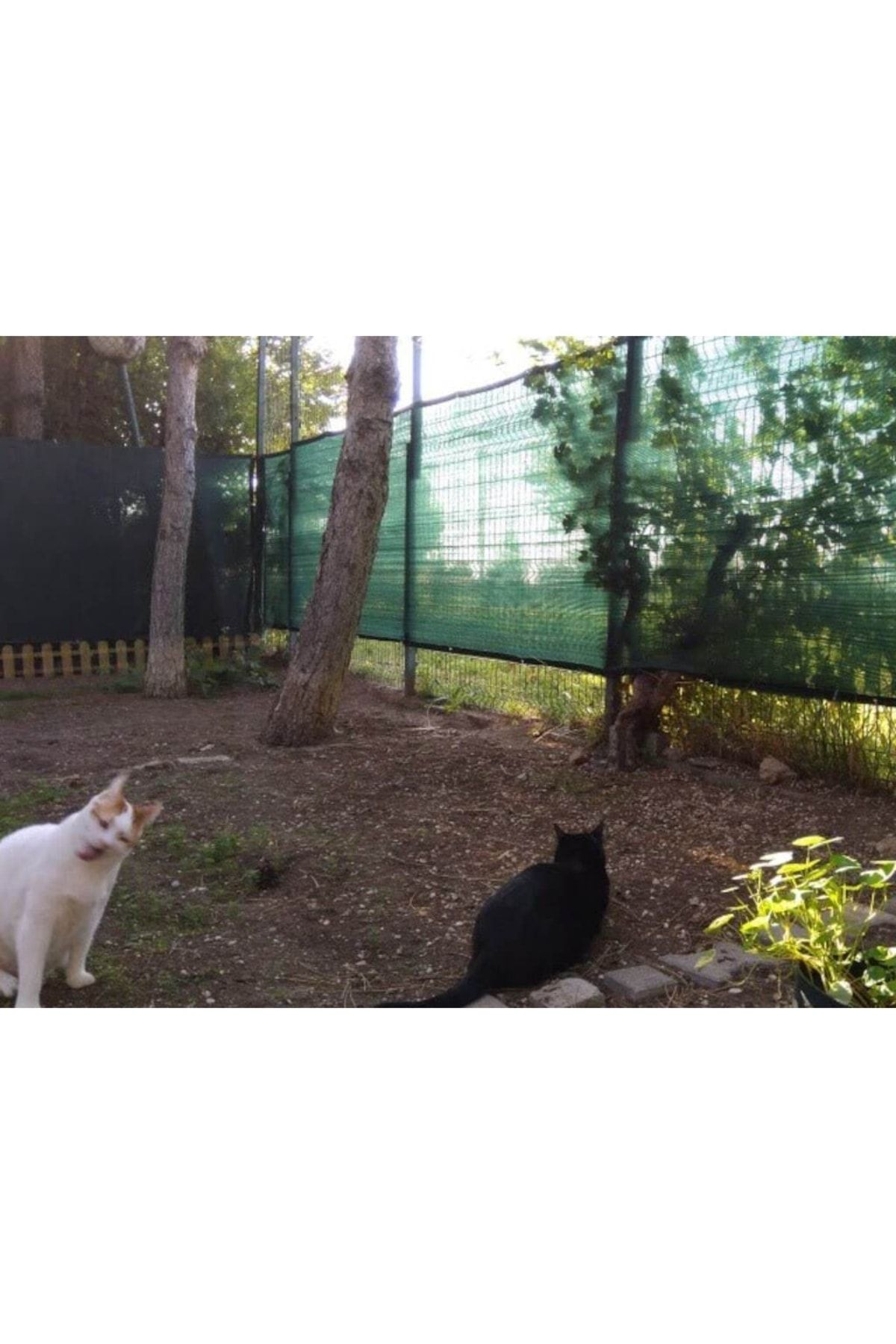 Kuş Filesi Kedi Filesi 2x4m Misina File Balkon Filesi Kuş Ağı Balkon Ağı Önleme Koruma Filesi