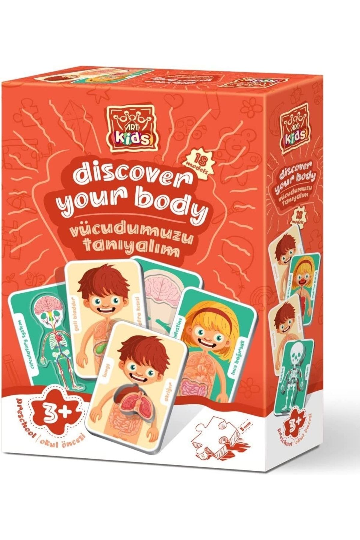 Art Kids Vücudumuzu Tanıyalım