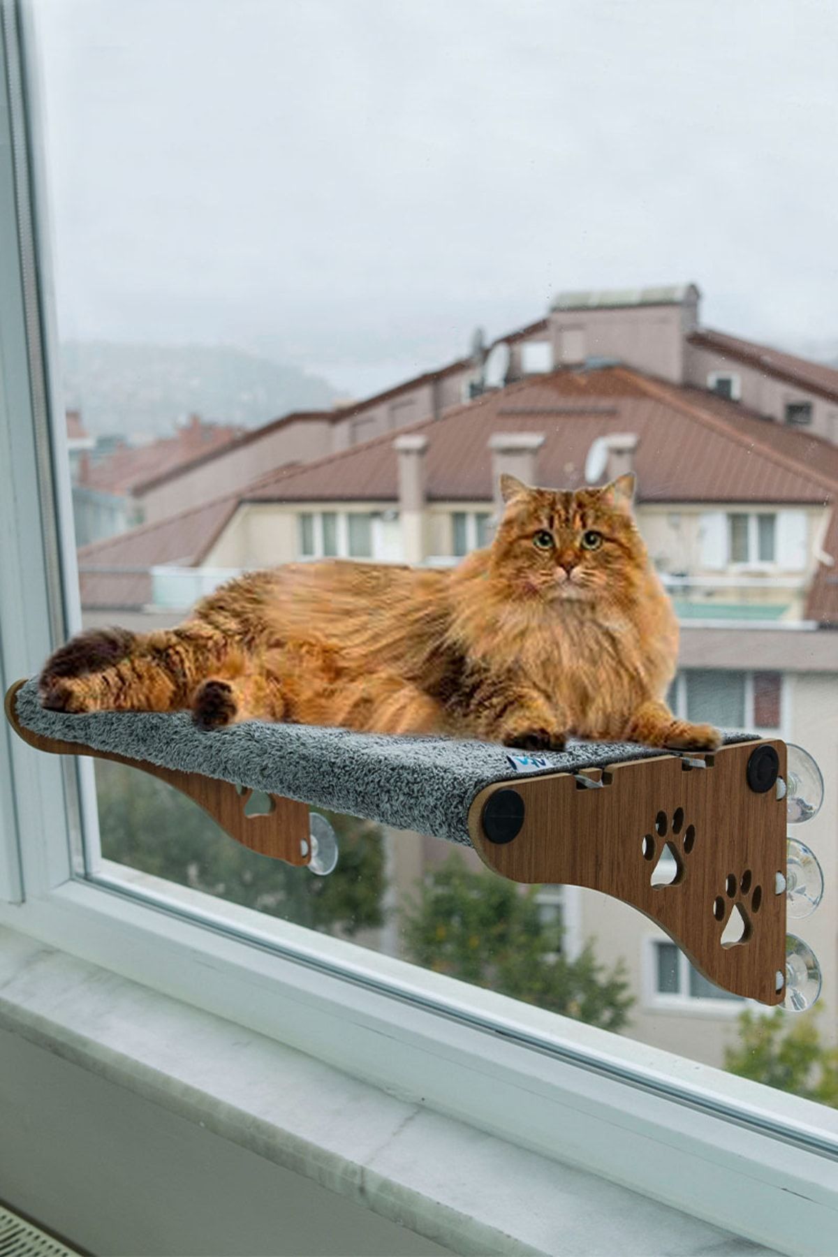 Büyük Boy Yeni Ahşap Cama Yapışan Kedi Yatağı Vantuzlu Cam Yatağı Terası
