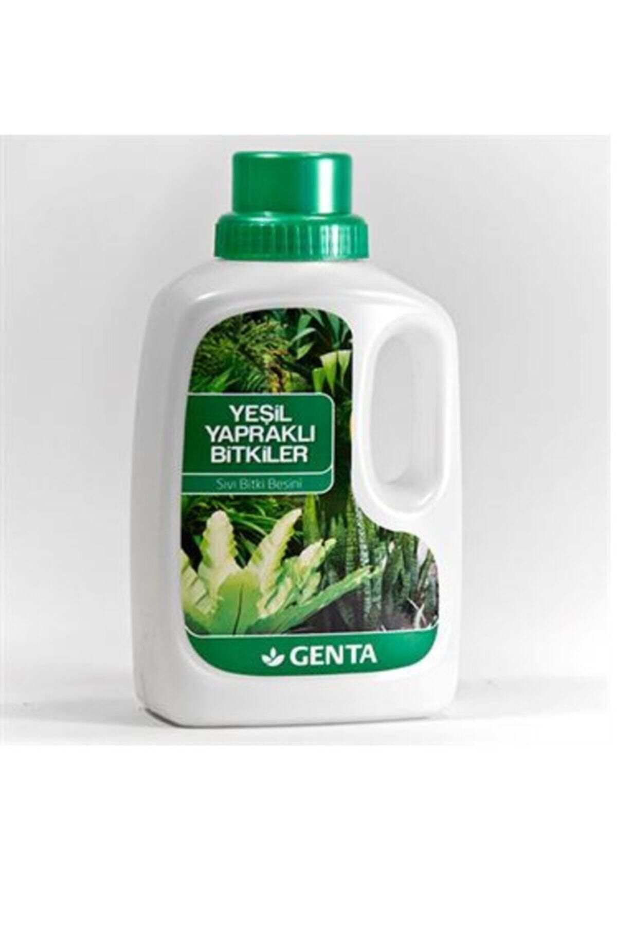 Yeşil Yapraklı Bitkiler Için Sıvı Besin 500 ml