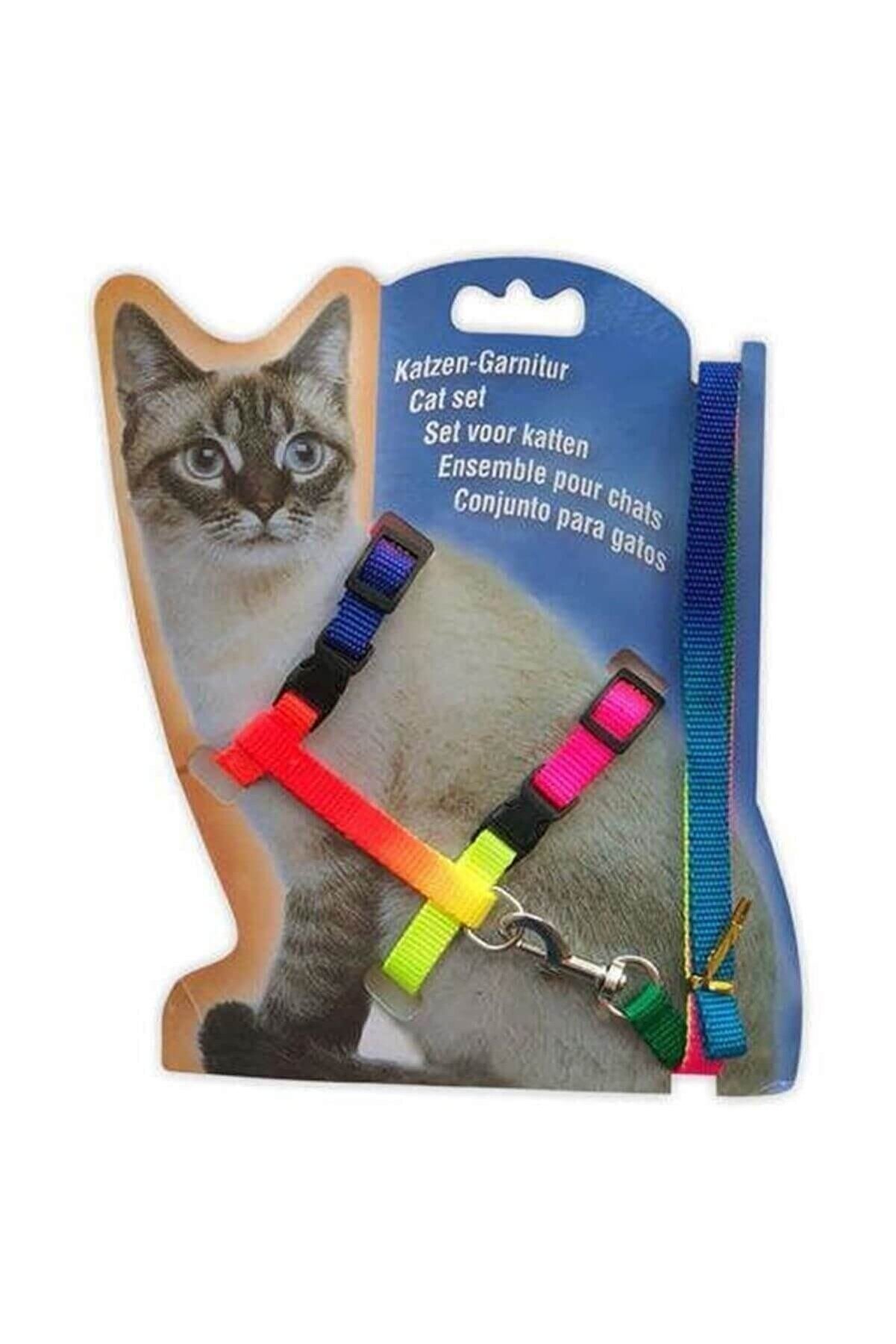 Kedi Gezdirme Seti Gökkuşağı Uzatma Göğüs Tasması