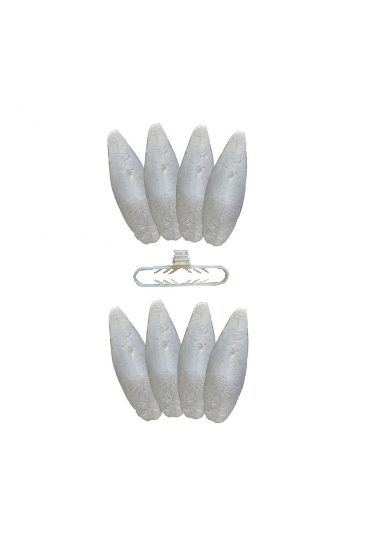 8 Adet Temizlenmiş Mürekkep Balığı (KALAMAR) Kemiği 7-8 Cm Ve Tutacak