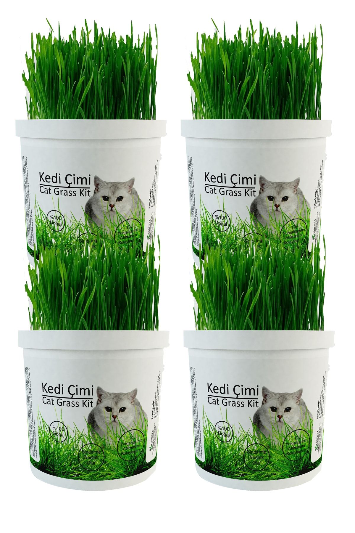 %100 Doğal Kedi Çimi (TÜY YUMAĞI ÖNLEYİCİ) 4 Adet