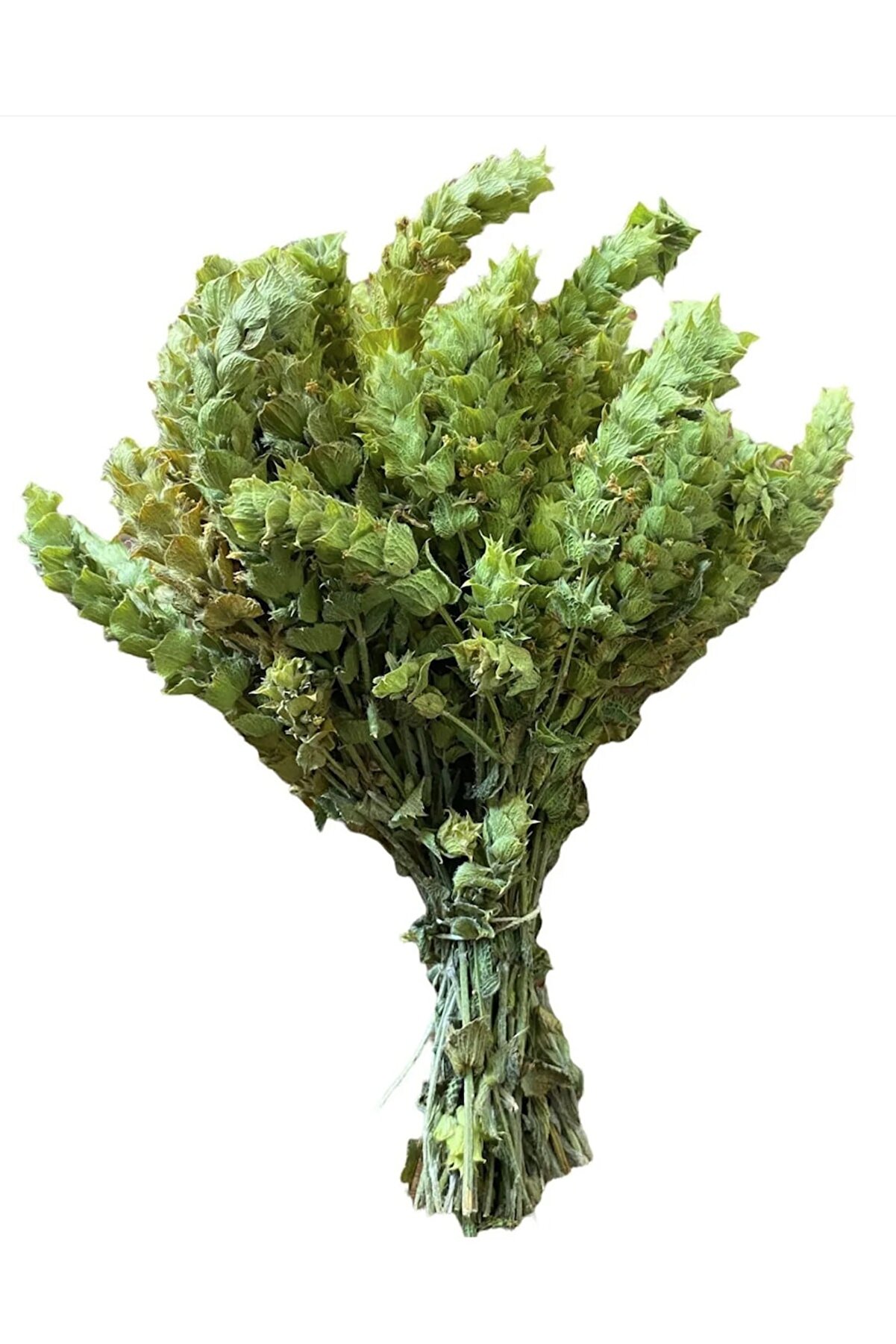 Adaçayı Demet ( Akdeniz Tipi ) Ada Çayı Salvia