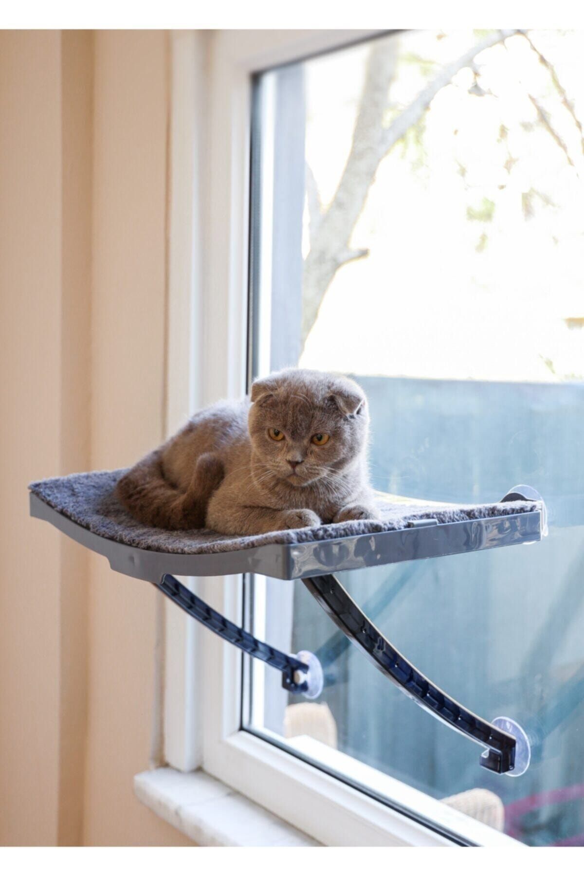 Yeni Model Cam Ve Duvar Için Kedi Yatağı Vantuzlu
