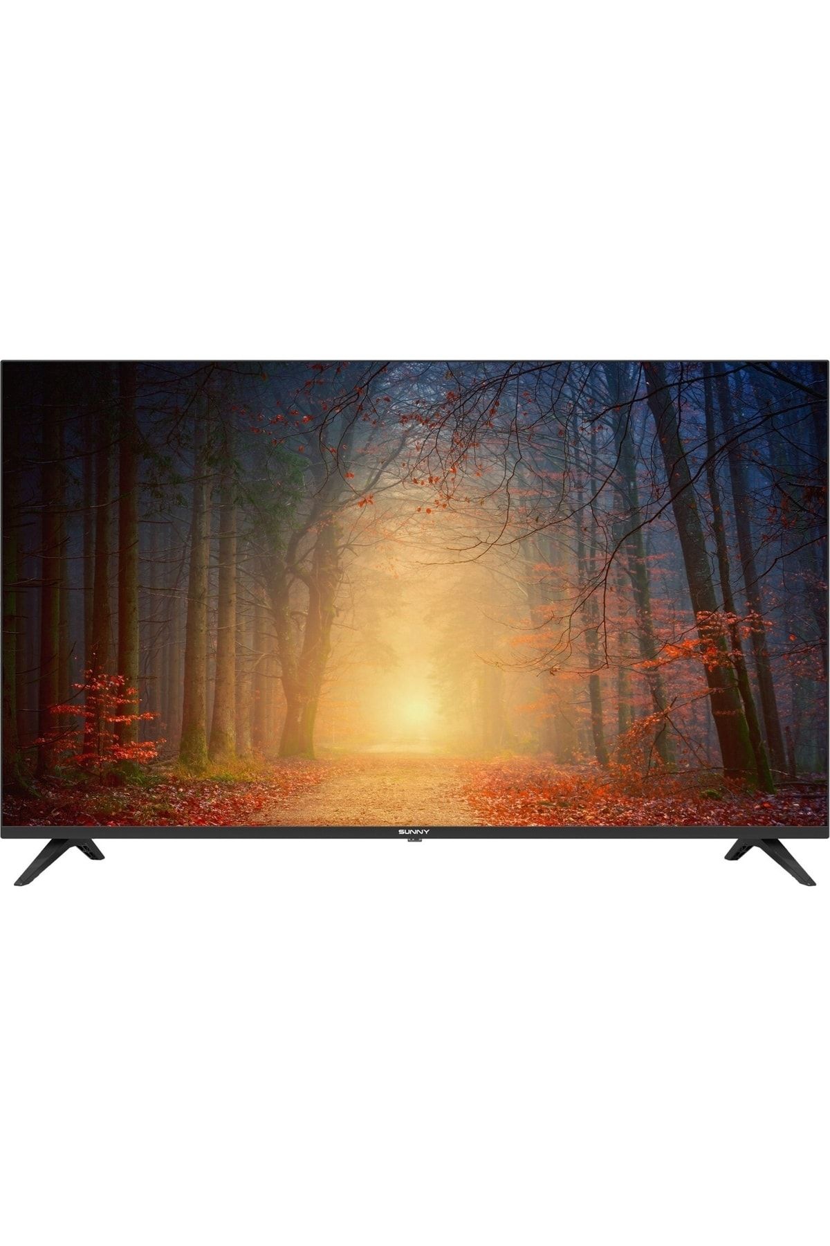 SN50FMN602 50" 127 Ekran Uydu Alıcılı 4K Ultra HD Google Smart LED TV
