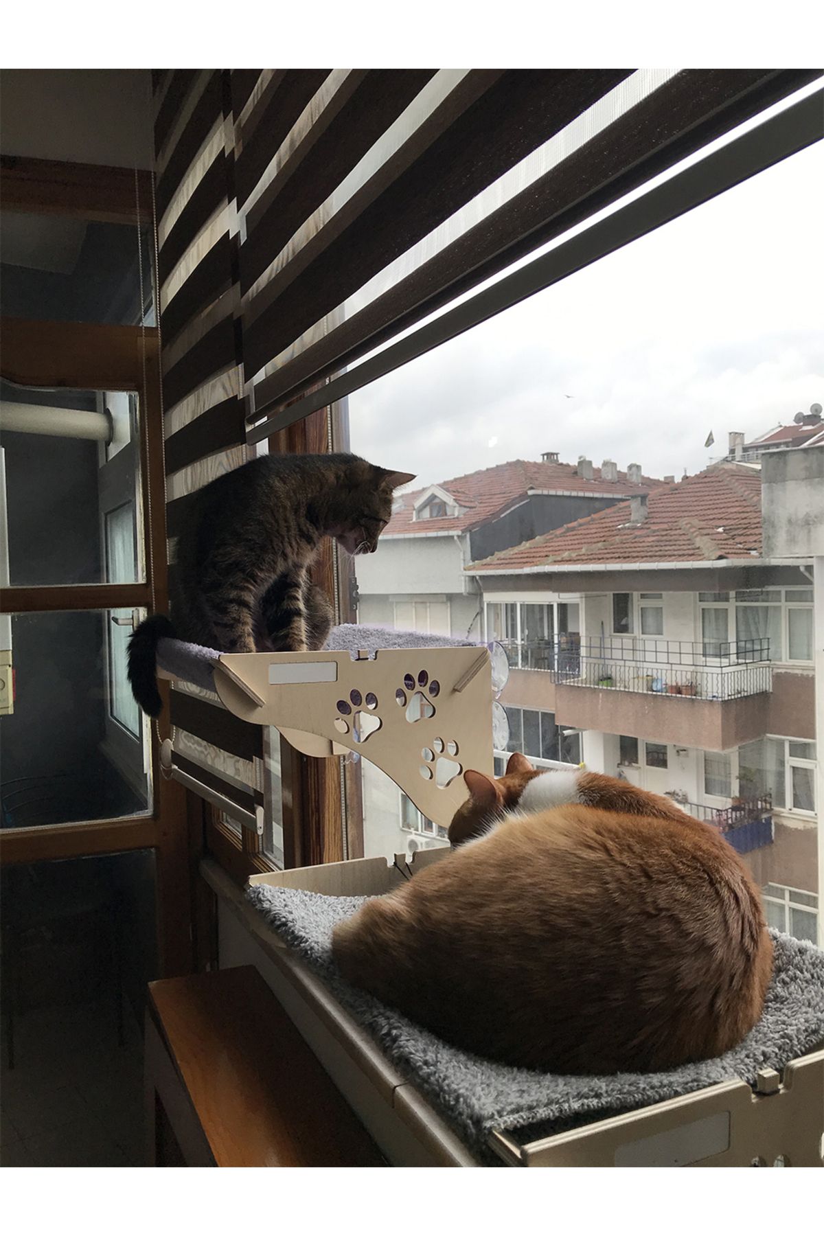 Büyük Boy Ahşap Cama Yapışan Kedi Yatağı Vantuzlu
