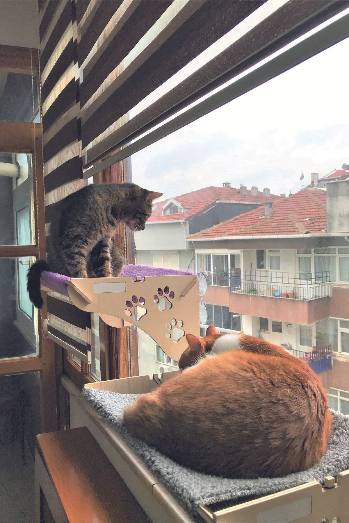 Cama Asılan Kedi Yatağı Vantuzlu