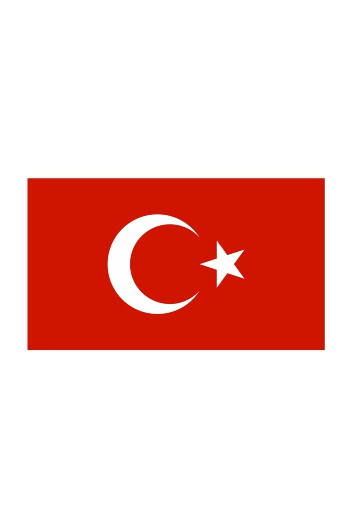 Sticker Fabrikası Türkiye Bayrağı Sticker 9x5,5 Cm 00068