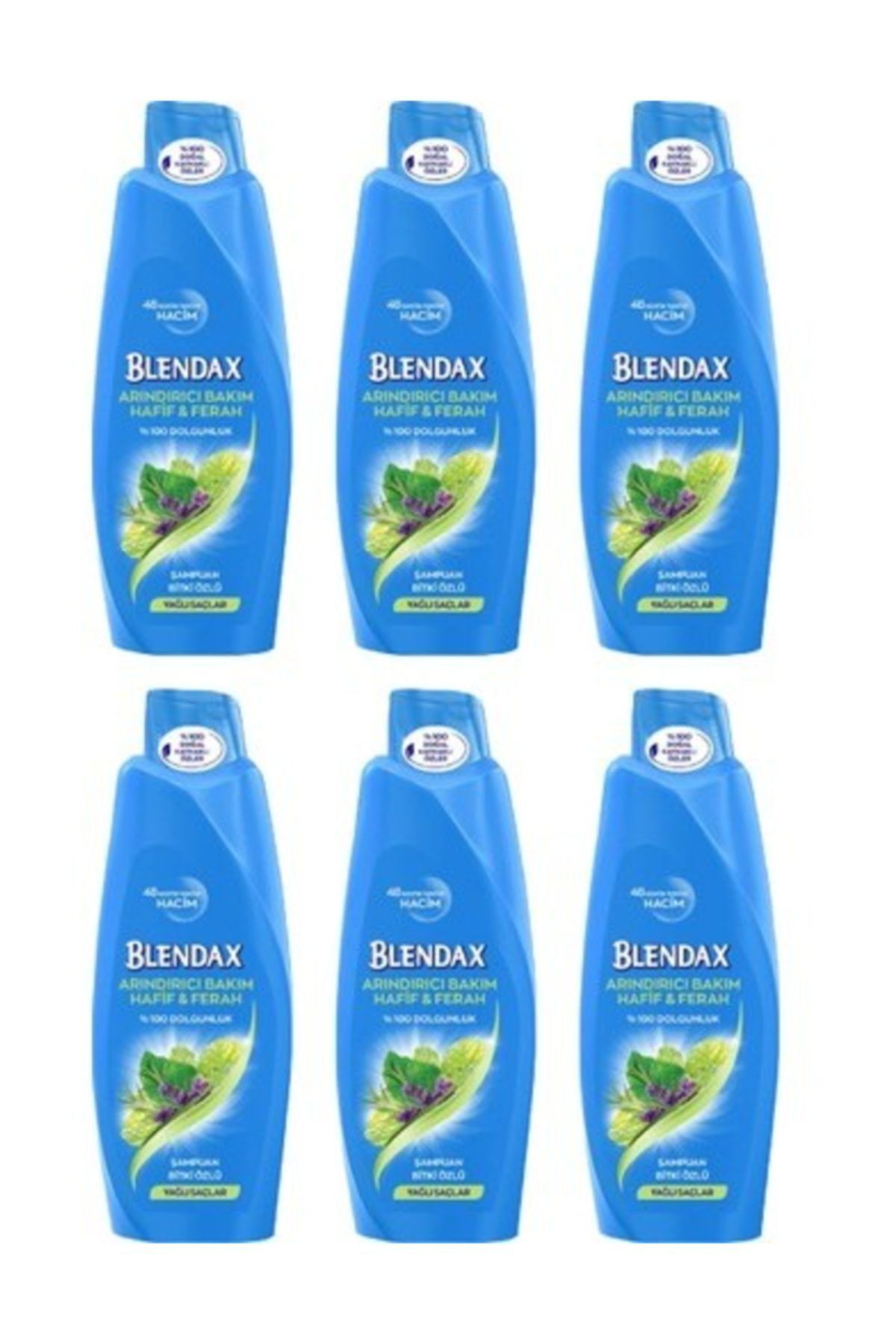 Blendax Bitki Öz'lü Şampuan 550 Ml 6'lı Paket