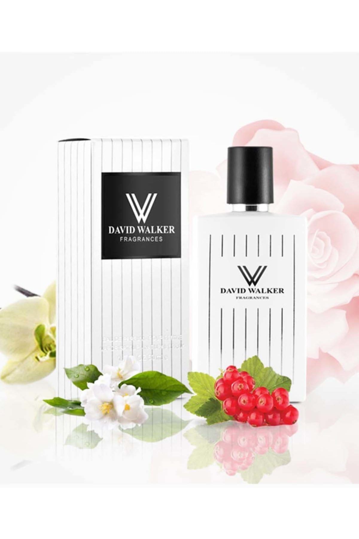David Walker Daıly B211 50ml Çiçek&meyve Kadın Parfüm