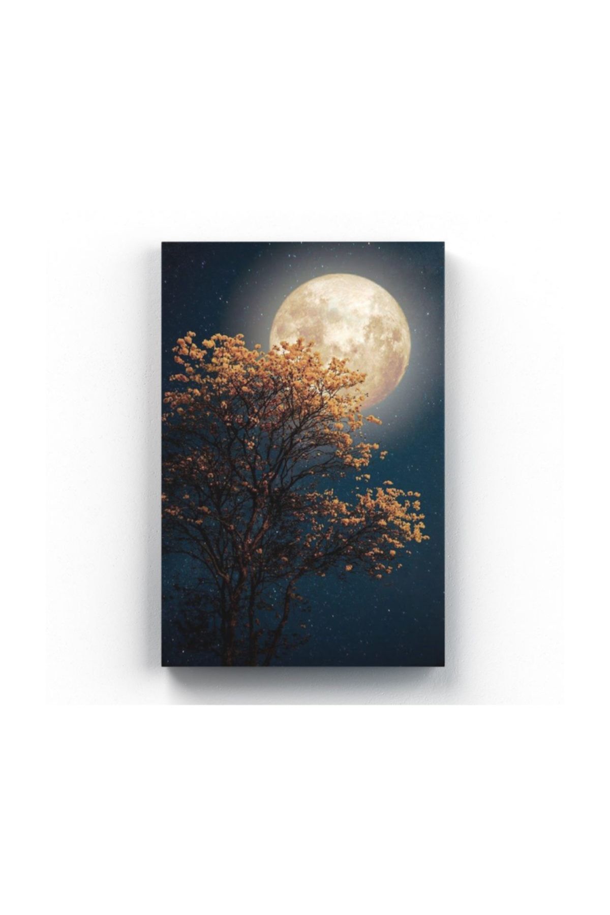 Shop365 Gece Gökyüzü Dolunay Ve Ağaç Kanvas Tablo 30 X 45 cm Tb-3110K
