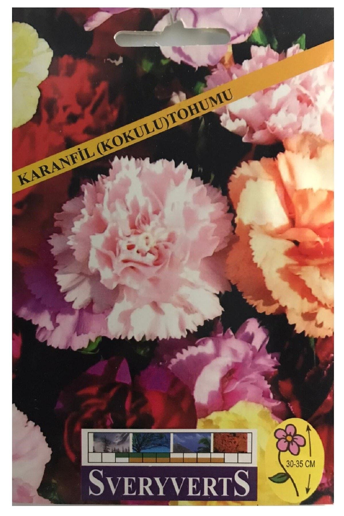 SVERYVERTS Karanfil Çiçeği Tohumu Kokulu Paket