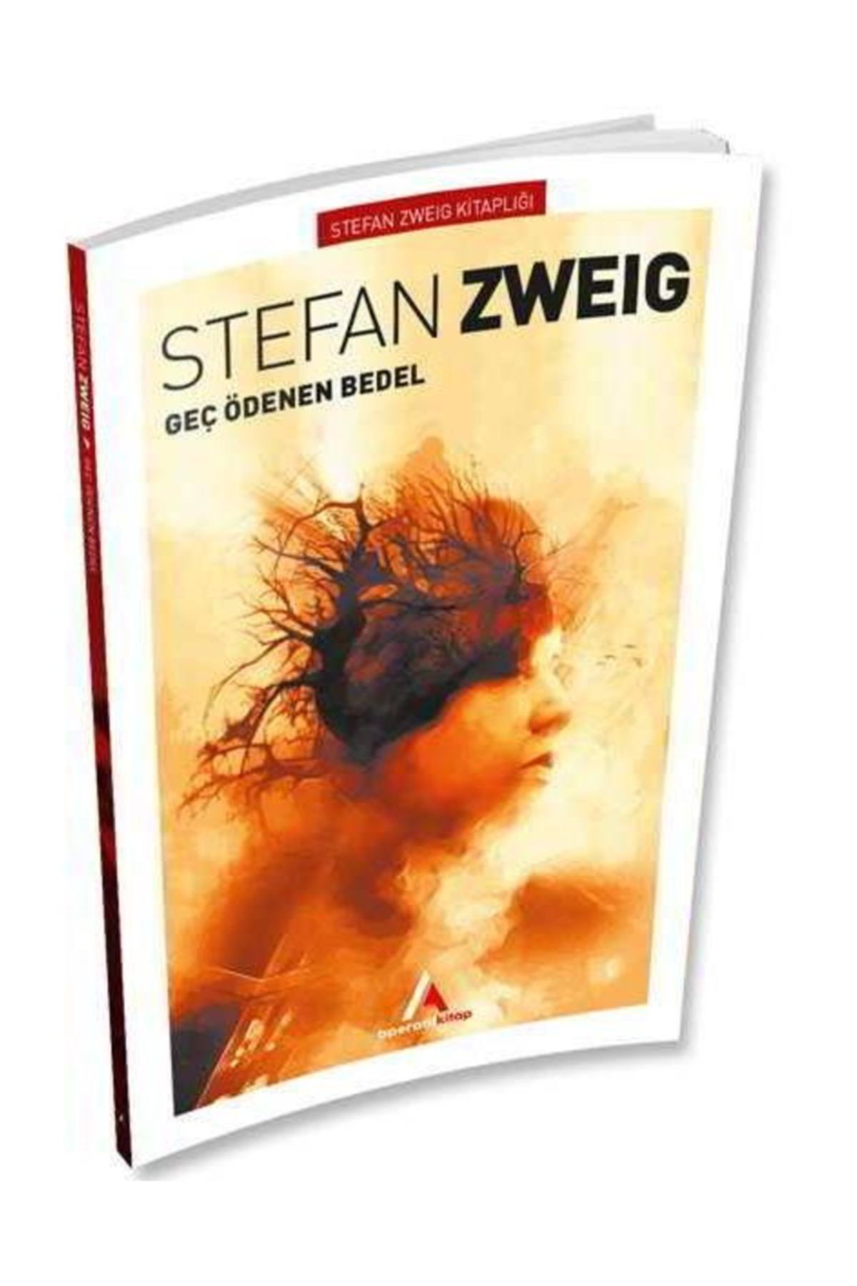 Aperatif Kitap Yayınları Geç Ödenen Bedel - Stefan Zweig - Aperatif Kitap