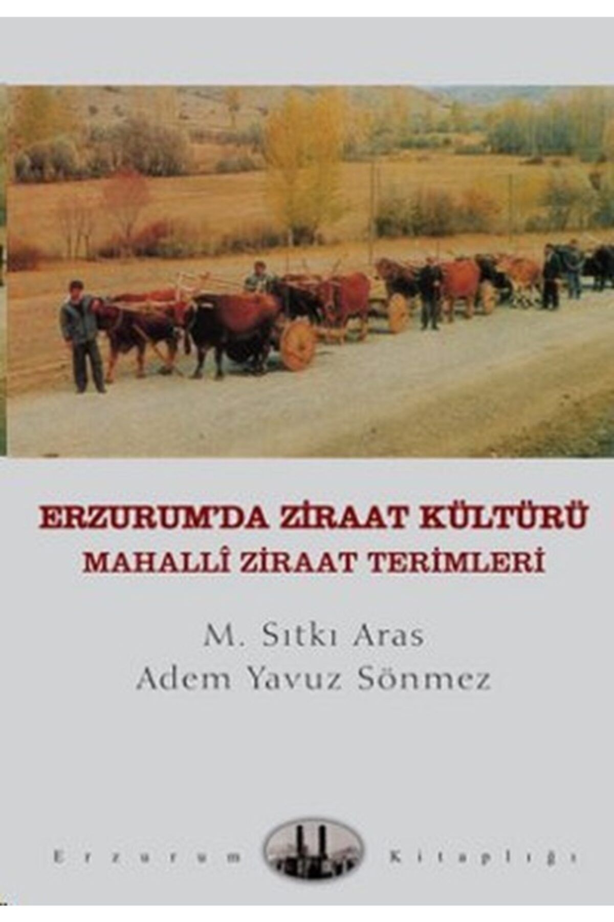 Dergah Yayınları Bsrl Erzurum'da Ziraat Kültürü - M. Sıtkı Aras