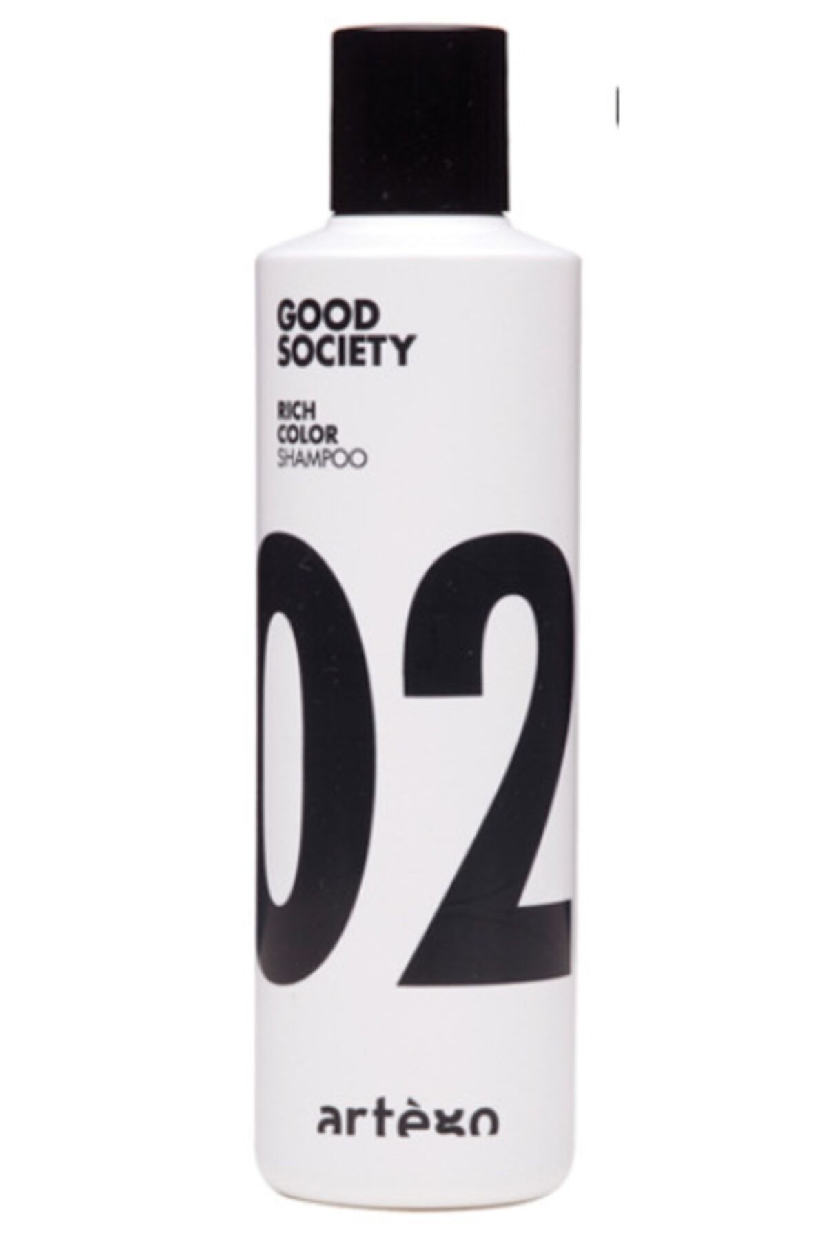 Artego Good Society 02 Rıch Color Shampoo 250 ml