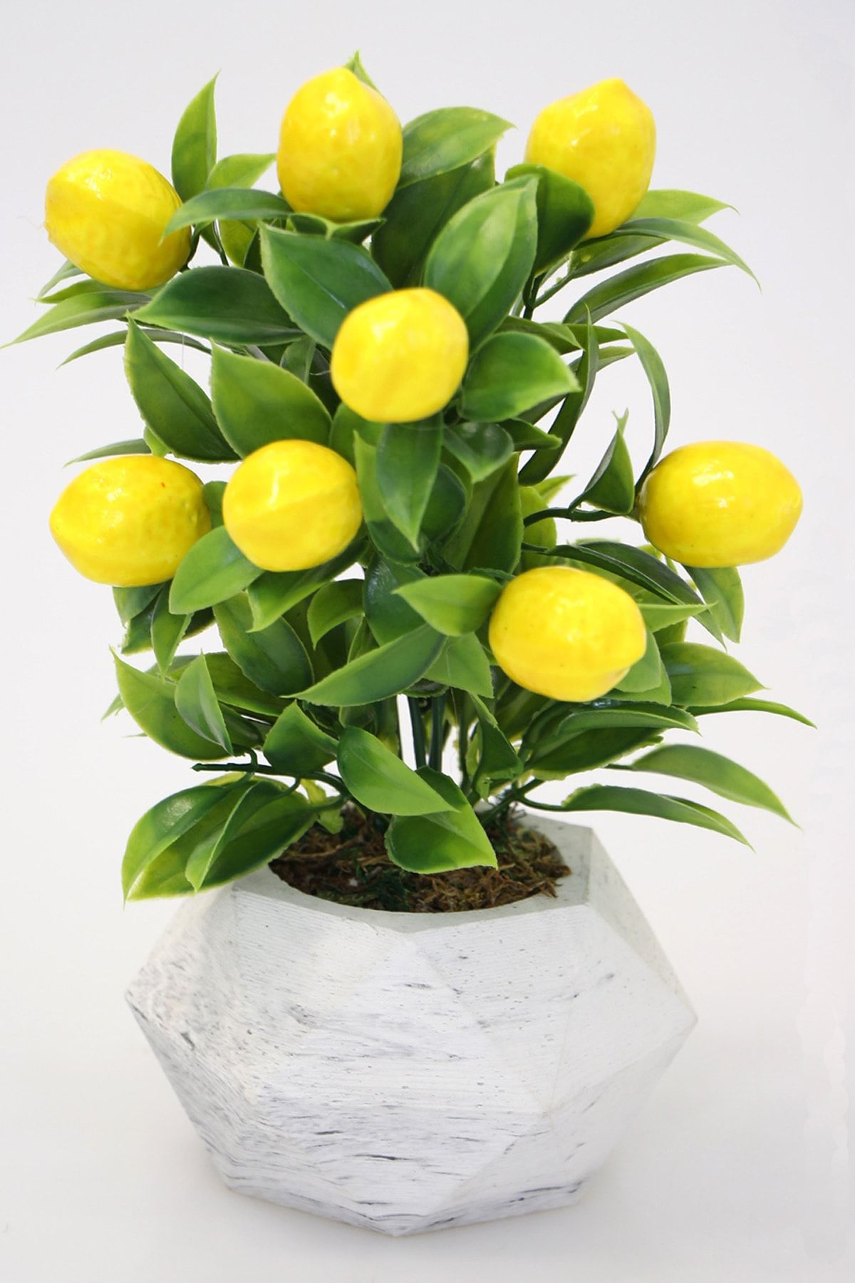 Yapay Çiçek Deposu Geometrik Mini Beton Saksıda Limon Ağacı 24 Cm