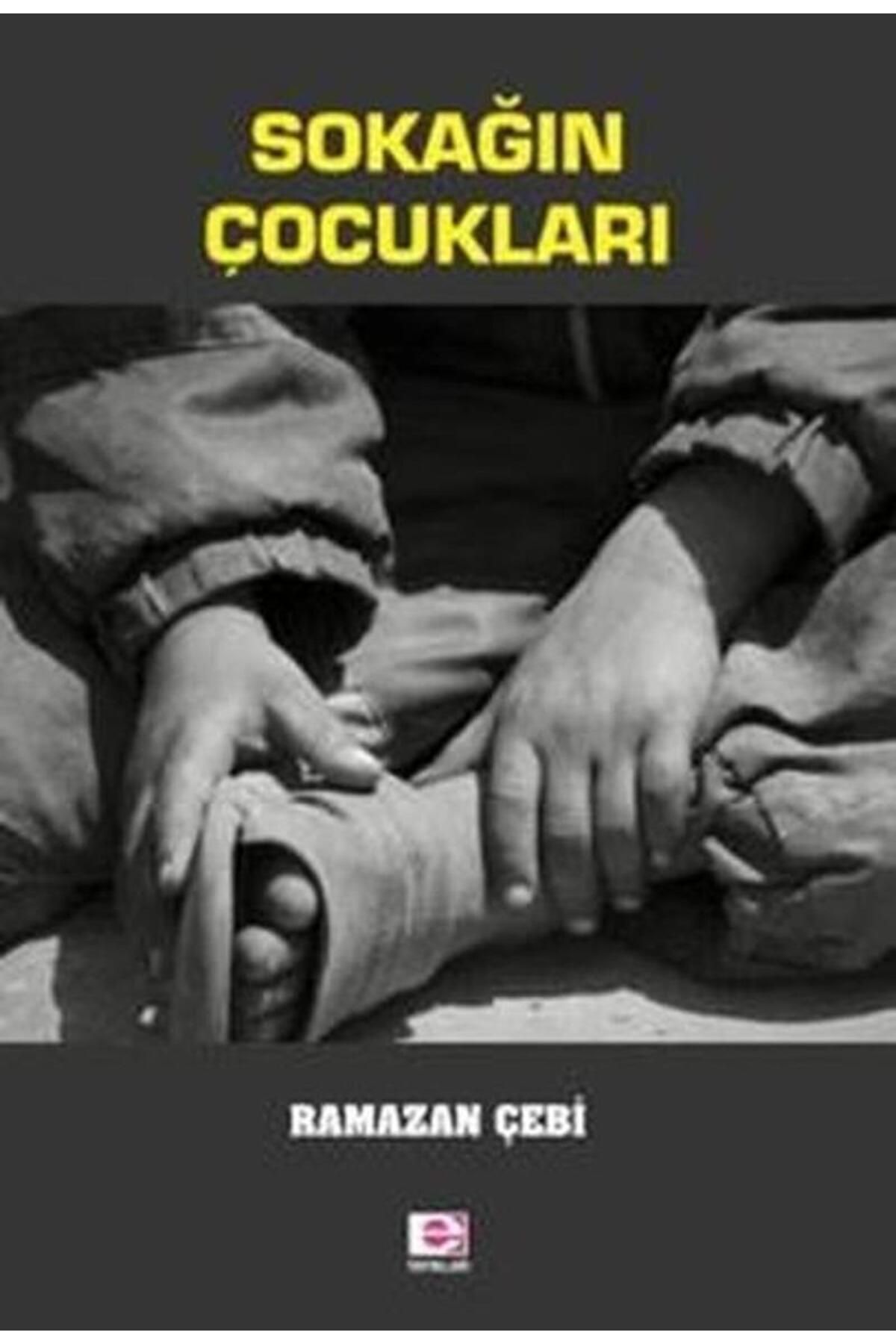 E yayınları Sokağın Çocukları / Ramazan Çebi / E Yayınları / 9789753903752