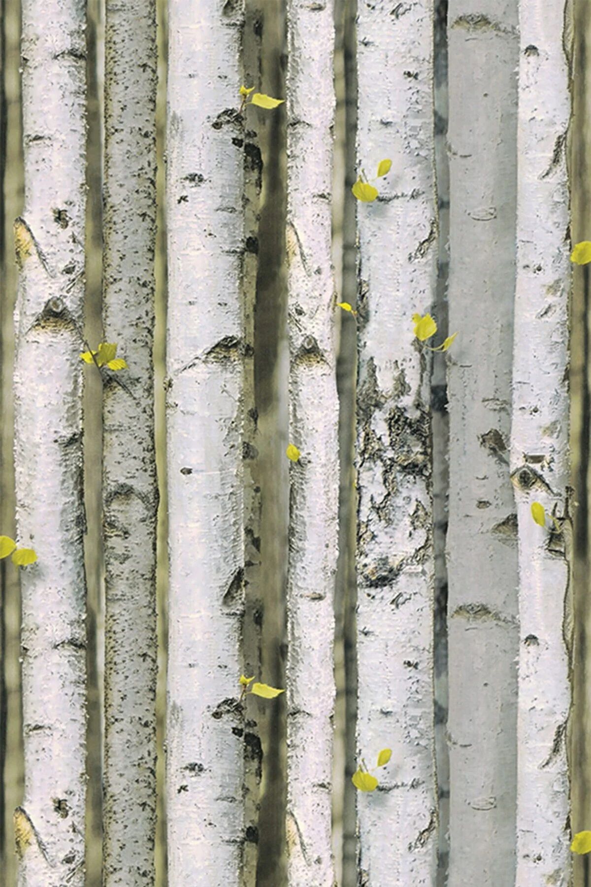 EXCLUSIVE Bambu Desen Duvar Kağıdı (5 M²) 9270