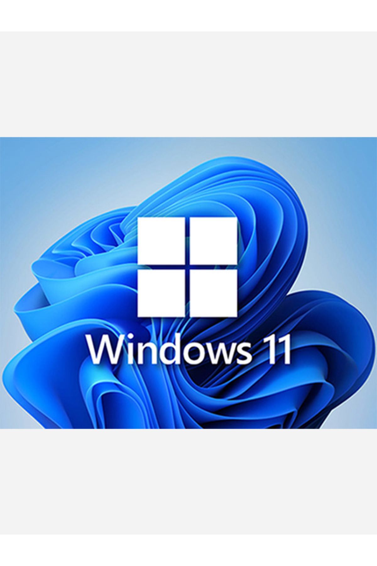 Microsoft Windows 11 Pro Retail Key (Kurumsal)