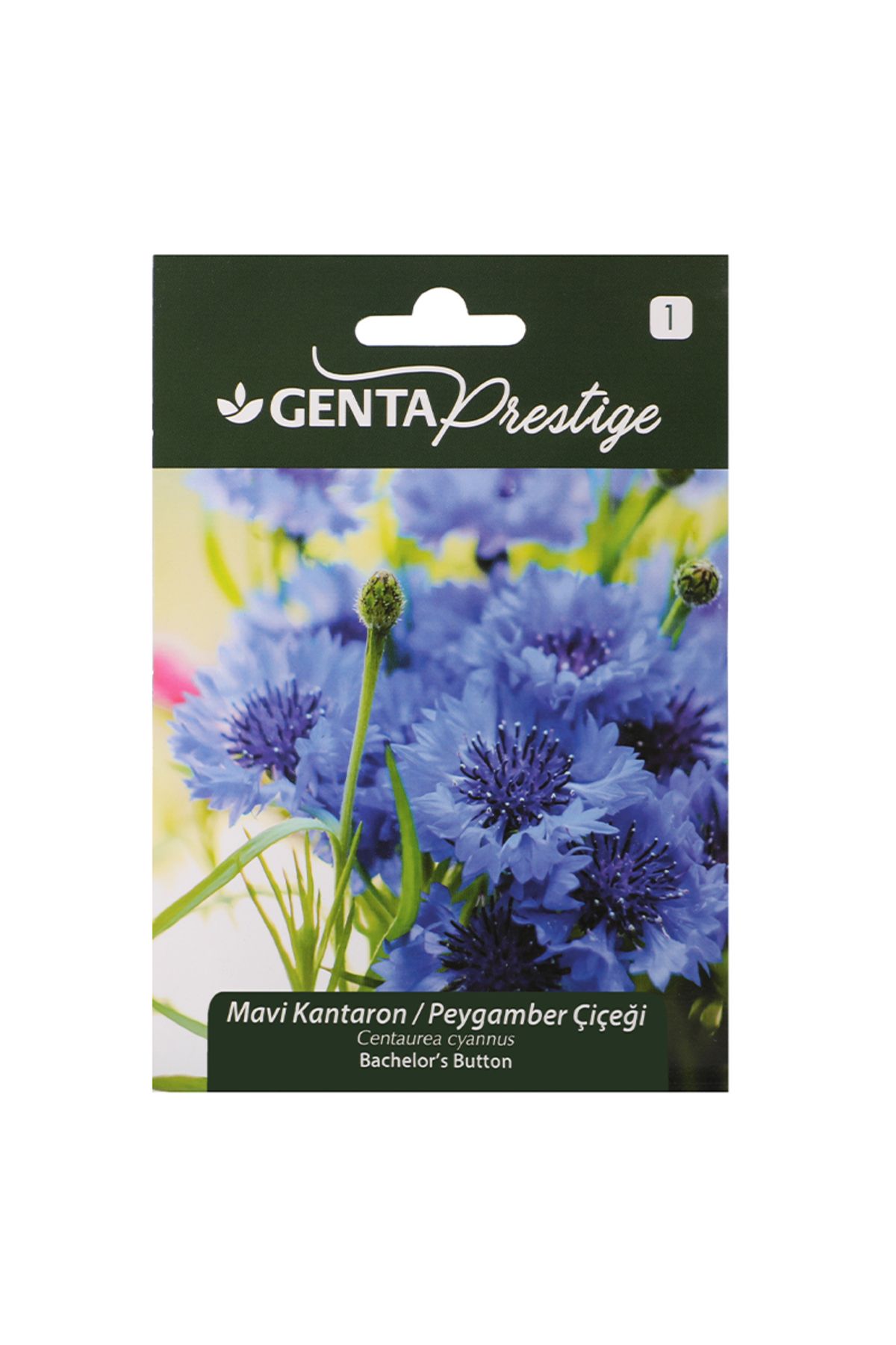 Genta Prestige Çiçek Tohumu Mavi Kantaron Peygamber Çiçeği