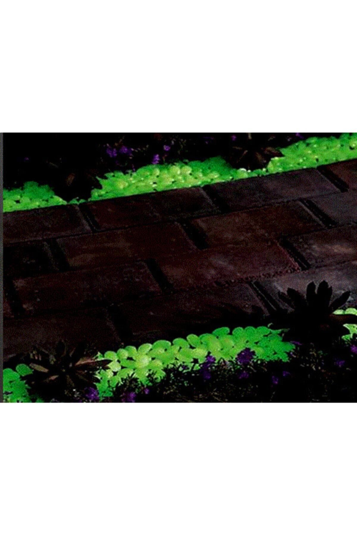 Biomak Çakıl Taşları Gece Parlayan Fosforlu Çakıl Taşları Bahçe Akvaryum Dekoratif 100 Adet Fosforlu Taş