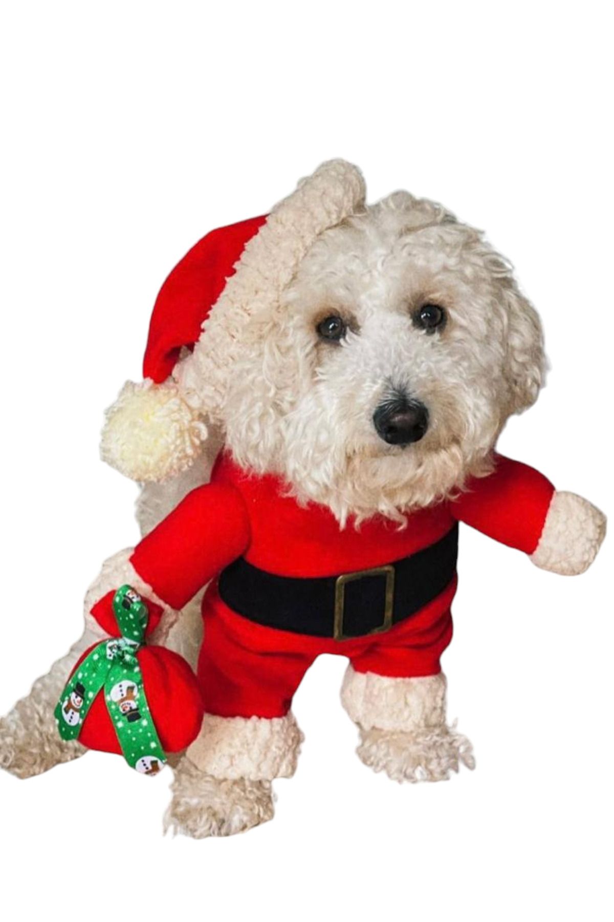 Sosyal Patiler Noel Baba Köpek Kostümü