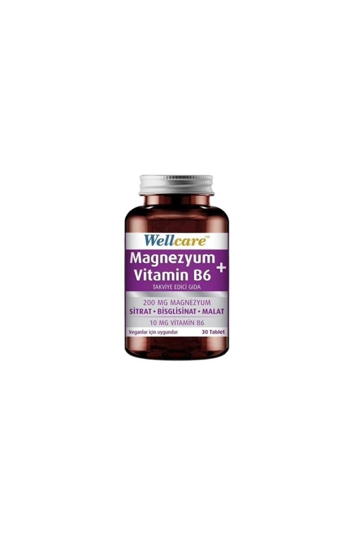 Wellcare Magnezyum + Vitamin B6 Içeren Takviye Edici Gıda 30 Tablet