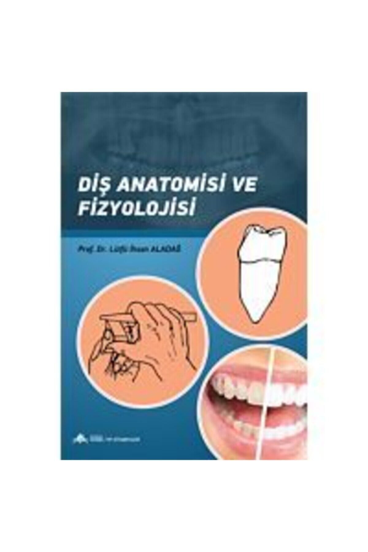 Anadolu Nobel Tıp Kitabevleri Diş Anatomisi Ve Fizyolojisi