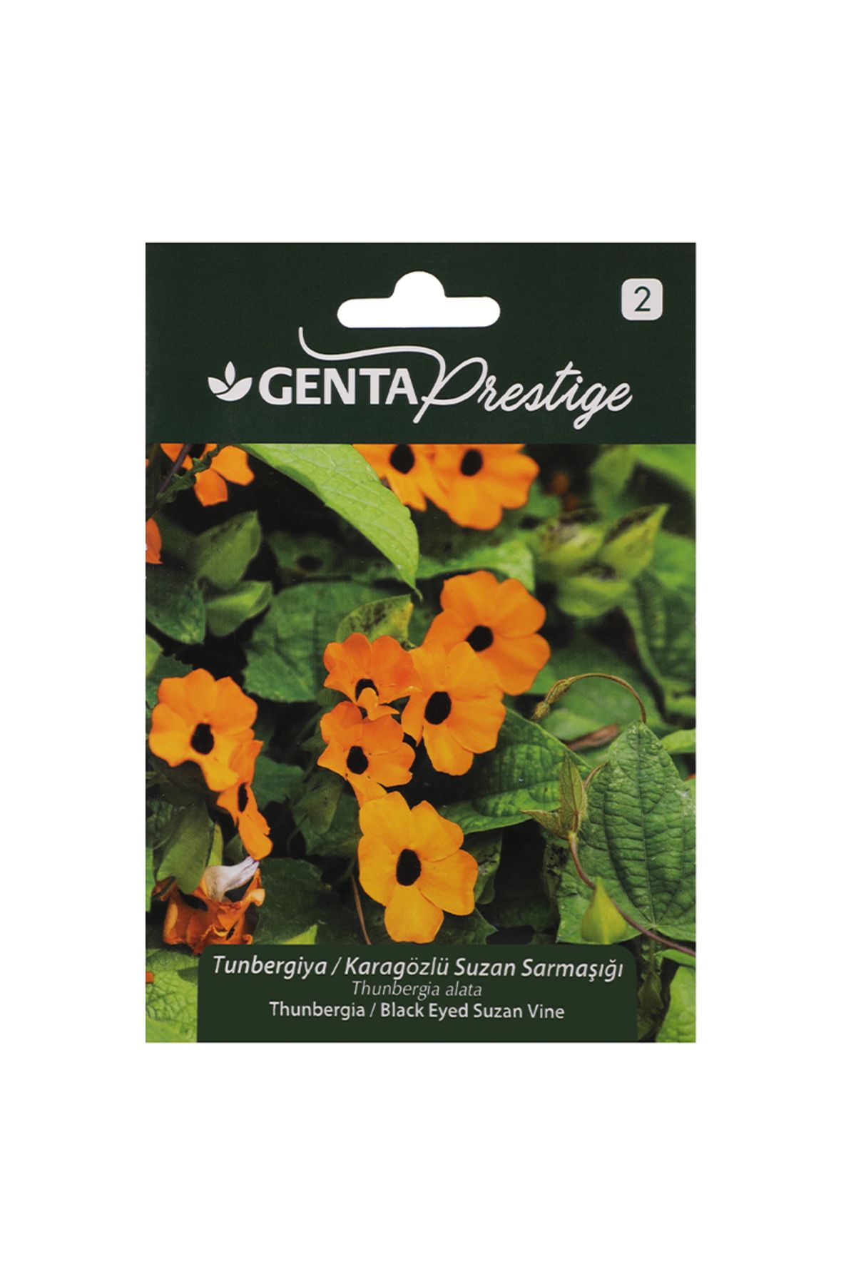 Genta Prestige Çiçek Tohumu Tunbergiya - Karagözlü Suzan Sarmaşığı